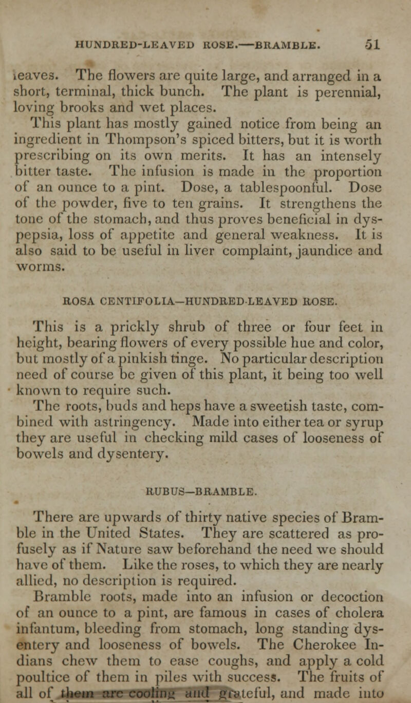 HUNDRED-LEAVED ROSE. BRAMBLE. -51 leaves. The flowers are quite large, and arranged in a short, terminal, thick bunch. The plant is perennial, loving brooks and wet places. This plant has mostly gained notice from being an ingredient in Thompson's spiced bitters, but it is worth prescribing on its own merits. It has an intensely bitter taste. The infusion is made in the proportion of an ounce to a pint. Dose, a tablespoonful. Dose of the powder, five to ten grains. It strengthens the tone of the stomach, and thus proves beneficial in dys- pepsia, loss of appetite and general weakness. It is also said to be useful in liver complaint, jaundice and worms. ROSA CENTIFOLIA-HUNDREDLEAVED ROSE. This is a prickly shrub of three or four feet in height, bearing flowers of every possible hue and color, but mostly of a pinkish tinge. No particular description need of course be given of this plant, it being too well known to require such. The roots, buds and heps have a sweetish taste, com- bined with astringency. Made into either tea or syrup they are useful in checking mild cases of looseness of bowels and dysentery. RUBUS—BRAMBLE. There are upwards of thirty native species of Bram- ble in the United States. They are scattered as pro- fusely as if Nature saw beforehand the need we should have of them. Like the roses, to which they are nearly allied, no description is required. Bramble roots, made into an infusion or decoction of an ounce to a pint, are famous in cases of cholera infantum, bleeding from stomach, long standing dys- entery and looseness of bowels. The Cherokee In- dians chew them to ease coughs, and apply a cold poultice of them in piles with success. The fruits of all of iJHMBBHTcooling and grateful, and made into