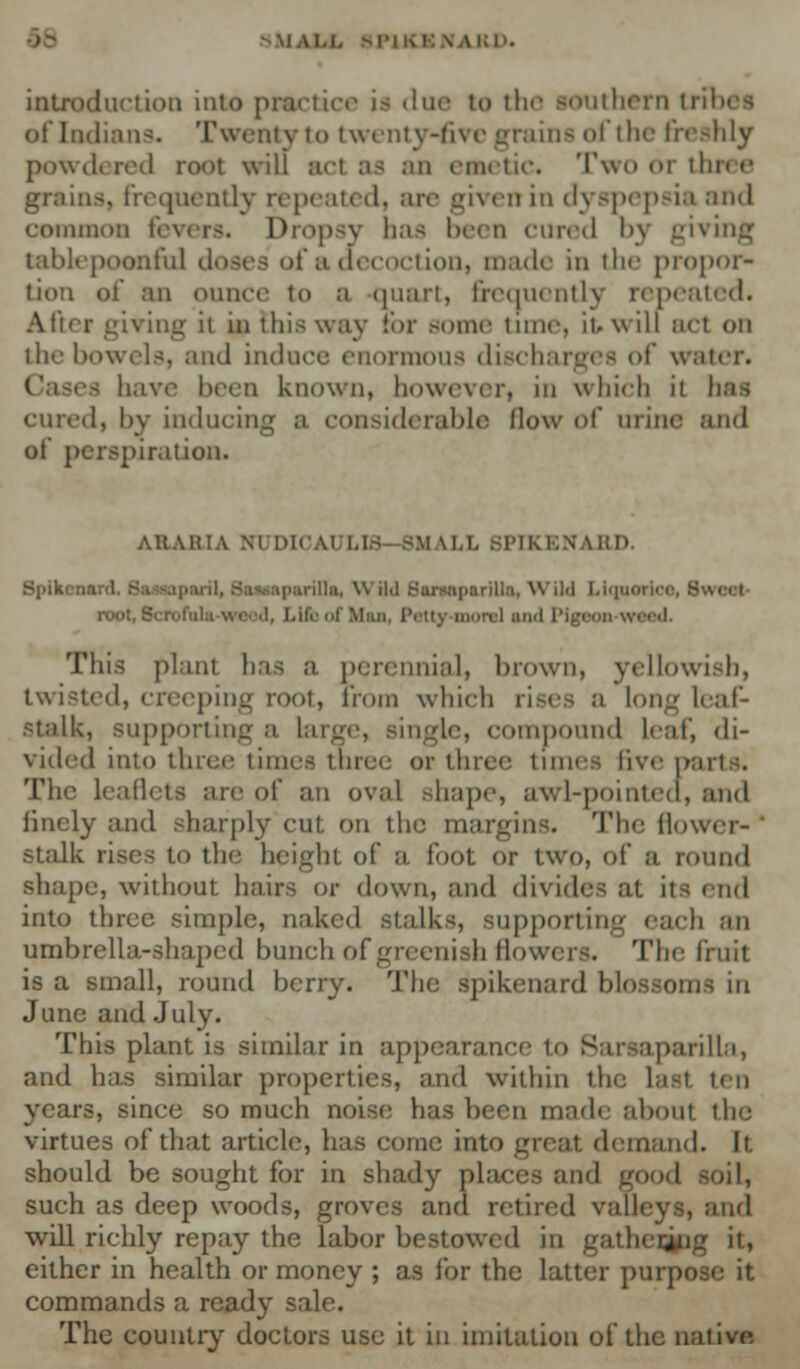 u.i. SFMCBNARD. introduction into practice is due to the southern tril of Indians. Twenty to twenty-five grains of the freshly powdered root will act as an emetic. Two or three grains, frequently repeated, are given in dyspepsia and common fevers. Dropsy bas been fined by giving tablepoonfui doses of a decoction, made in the propor- tion of an ounce to a quart, frequently repeated. After giving it in this way hot .-cine time, it. will act on the bowels, and induce enormous discharges of water. a have been known, however, in which it has cured, by inducing a considerable How of urine and of perspiration. ARABIA RUDICA1 LIS- SMALL SPIKENARD. .■ illii. Wild Sanaparilla, Wild Liquet root, Scrofula weed, Life f Uaa, Petty morel tnd Pigeon vn This plant has a perennial, brown, yellowi ih, twisted, creeping root, from which rises B long leaf- stalk, supporting a i . compound leaf, di- vided into three times three or three times five pa The Leaflets are of an oval shape, awl-pointea, and finely and sharply cut On the margins. The flower- Stalk rises to the height of a loot or two, of a round shape, without hairs or down, and divide , n,| into three simple, naked stalks, supporting each an umbrella-shaped bunch of greenish flowers. The fruit is a small, round berry. The spikenard blossoms in June and July. This plant is similar in appearance to Barsaparilla, and has similar properties, and within the last ten years, since so much noise has been made about the virtues of that article, has come into great demand. It should be sought for in shady places and '_»»,| soil, such as deep woods, groves and retired valleys, and will richly repay the labor bestowed in gathering it, either in health or money ; as for the latter purpose it commands a ready sale. The country doctors use it in imitation of the native