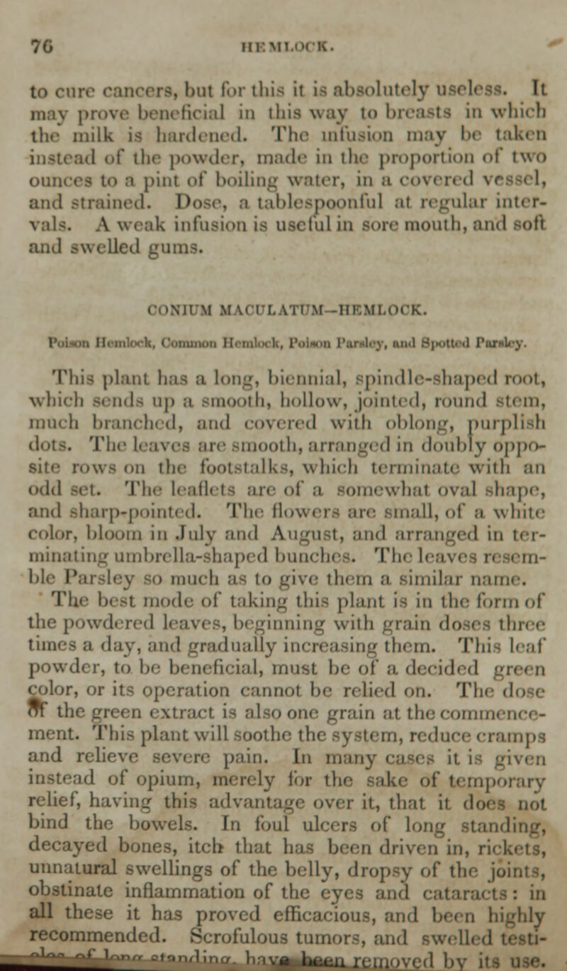 ire cancerti bat for this it it absolutely It m;iv prove beneficial in this way to breast* in which the milk is hardened. The infusion may be taken instead of tin powder, made in the proportion of two ounces to :i pint of boiling water, in a covered vr and strained. Dose, a taolespoonful at regular inter- vals. A weak infusion is useful in sore mouth, ;ind soft and -welled gums. 0ON3UM II \< tlatim .HEMLOCK. , Hemlock, Gammon Hemlock, i j, and Spotted Piwitiy. This plant has a long, biennial, spindle-shaped root, which sends Up B smooth, hollow, jointed, round stein, much branched, and covered with oblong, purplish dots. The 1. smooth) arranged in doubly oppo- site rows on the footstalks, which terminate with an odd set. The leaflets are of a somewhat oval shape, nnd sharprpointed. The flow mall, of a white color, bloom in July and August, nnd arranged in ter- minating umbrella-shaped hunches. The [< em- ble Parsley so inuch as to give them n similar name. The he.-L mode ol' taking this plant is in the form of the powdered leaves, beginning with grain doses three times a day, nnd gradually increasing them. This leaf powder, to be beneficial, must, he of a decided gn color, or its operation cannot be relied on. The d oT the green extract is also one grain at the commence- ment. This plant will soothe the system, reduce cramps and relieve severe pain. In many cases it is given instead of opium, merely lor the sake of temporary relief, having this advantage over it, that it does not bind the bowels. In foul ulcers of long standing, decayed bones, itch that has been driven in, ricl unnatural swellings of the belly, dropsy of the joints, obstinate inflammation of the eyes and cataracts: in all these it has proved efficacious, and been highly recommended. Scrofulous tumors, and swelled >■ a^aadiafc hmaAjin IT ill11 ' 1 b\