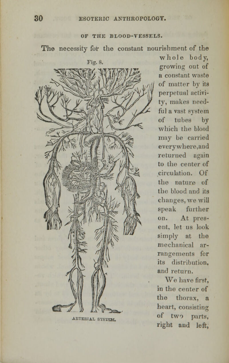 OF THE BLOOD-VESSELS. The necessity for the constant nourishment of the whole bod y, growing out of a constant waste of matter by its perpetual activi- ty, makes need- ful a vast system of tubes by which the, blood may be carried everywhere,and returned again to the center of circulation. Of the nature of the blood and its changes, we will speak further on. At pres- ent, let us look simply at the mechanical ar- rangements for its distribution, and return. We have first, in the center of the thorax, a heart, consisting of two parts, right and left, AETEEIAL SYSHM.