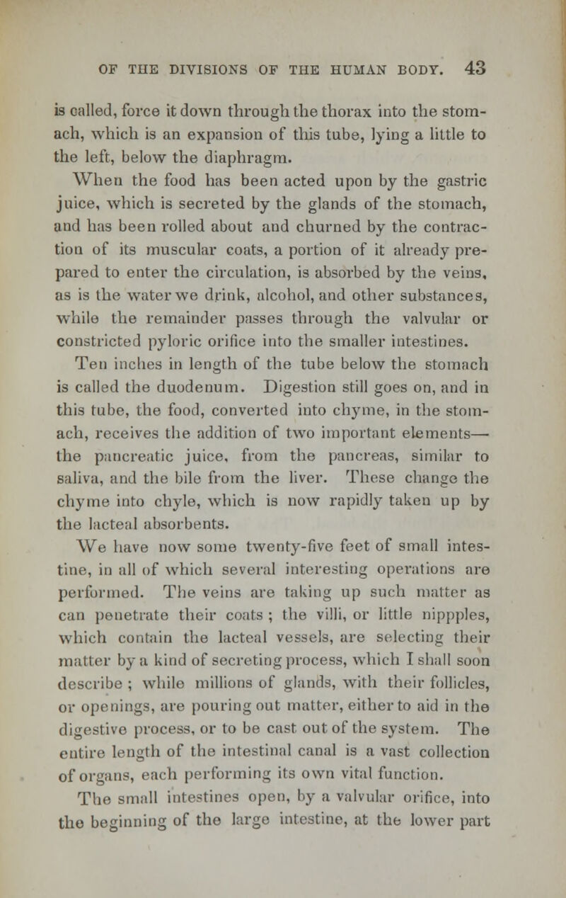 is called, force it down through the thorax into the stom- ach, which is an expansion of this tube, lying a little to the left, below the diaphragm. When the food has been acted upon by the gastric juice, which is secreted by the glands of the stomach, and has been rolled about and churned by the contrac- tion of its muscular coats, a portion of it already pre- pared to enter the circulation, is absorbed by the veins, as is the water we drink, alcohol, and other substances, while the remainder passes through the valvular or constricted pyloric orifice into the smaller intestines. Ten inches in length of the tube below the stomach is called the duodenum. Digestion still goes on, and in this tube, the food, converted into chyme, in the stom- ach, receives the addition of two important elements—■ the pancreatic juice, from the pancreas, similar to saliva, and the bile from the liver. These change the chyme into chyle, which is now rapidly taken up by the lacteal absorbents. We have now some twenty-five feet of small intes- tine, in all of which several interesting operations are performed. The veins are taking up such matter as can penetrate their coats ; the villi, or little nippples, which contain the lacteal vessels, are selecting their matter by a kind of secreting process, which I shall soon describe ; while millions of glands, with their follicles, or openings, are pouring out matter, either to aid in the digestive process, or to be cast out of the system. The entire length of the intestinal canal is a vast collection of organs, each performing its own vital function. The small intestines open, by a valvular orifice, into the beginning of the large intestine, at the lower part