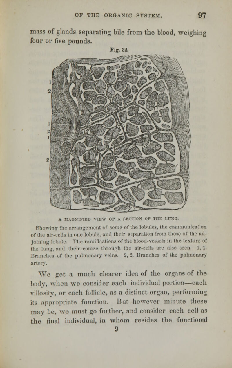 mass of glands separating bile from the blood, weighing four or five pounds. Fig. 32. A MAGNIFIED VIEW OF A SUCTION OF THE LITXQ. Fhowincr the arrangement of some of the lobules, the communication ofthc air-cells in one lobule, and their s iparation from those of the ad- joining lobule. The ramifications of the blood-vessels in the texture of . and their course through the air-cells are also seen. 1,1. * of the pulmonary veins. 2, 2. Branches of the pulmonary artery. We get a much clearer idea of the organs of the body, when we consider each individual portion—each villosity, or each follicle, as a distinct organ, performing its appropriate function. But however minute these may be, we must go further, and consider each cell a3 the final individual, in whom resides the functional