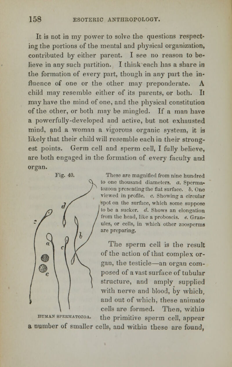 It is not in my power to solve the questions respect- ing the portions of the mental and physical organization, contributed by either parent. I see no reason to be- lieve in any such partition. I think each has a share in the formation of every part, though in any part the in- fluence of one or the other may preponderate. A child may resemble either of its parents, or both. It may have the mind of one, and the physical constitution of the other, or both may be mingled. If a man have a powerfully-developed and active, but not exhausted mind, and a woman a vigorous organic system, it is likely that their child will resemble each in their strong- est points. Germ cell and sperm cell, I fully believe, are both engaged in the formation of every faculty and organ. Fig. 40. These are magnified from nine hundred to one thousand diameters, a. Sperma- tozoon presenting the flat surface, b. One viewed in profile, c. Showing a circular spot on the surface, which some suppose j to be a sucker, d. Shows an elongation k / from the head, like a proboscis, e. Gran- M / ules, or cells, in which other zoosperms / / are preparing. \y/ The sperm cell is the result X of the action of that complex or-  V^ gan, the testicle—an organ com- l 1 posed of a vast surface of tubular 1 structure, and amply supplied with nerve and blood, by which, and out of which, these animate cells are formed. Then, within human ai-EEMATozoA. the primitive sperm cell, appear a number of smaller cells, and within these are found,