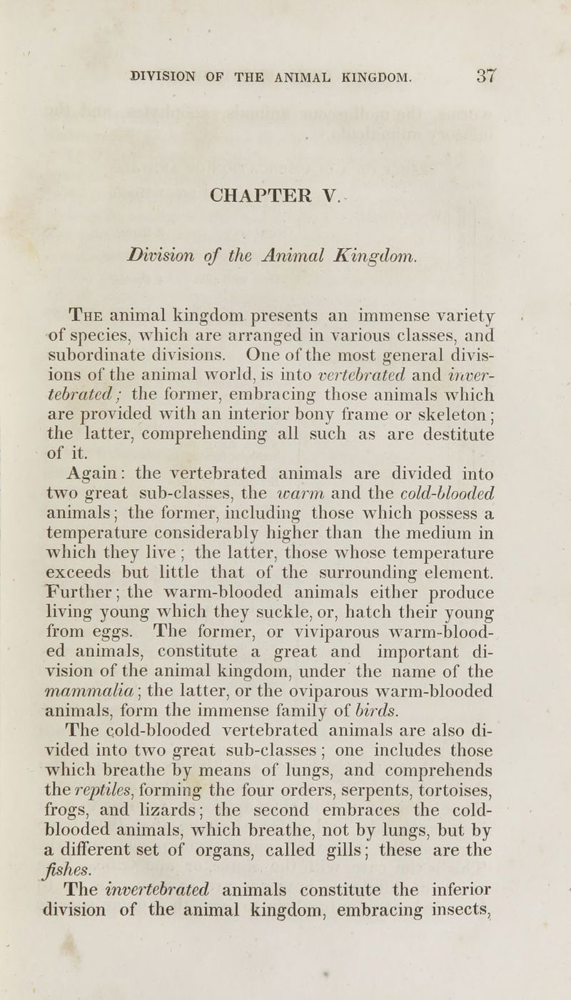 CHAPTER V. Division of the Animal Kingdom. The animal kingdom presents an immense variety of species, which are arranged in various classes, and subordinate divisions. One of the most general divis- ions of the animal world, is into vertebrated and inver- tebrated; the former, embracing those animals which are provided with an interior bony frame or skeleton; the latter, comprehending all such as are destitute of it. Again: the vertebrated animals are divided into two great sub-classes, the warm and the cold-blooded animals; the former, including those which possess a temperature considerably higher than the medium in which they live ; the latter, those whose temperature exceeds but little that of the surrounding element. Further; the warm-blooded animals either produce living young which they suckle, or, hatch their young from eggs. The former, or viviparous warm-blood- ed animals, constitute a great and important di- vision of the animal kingdom, under the name of the mammalia; the latter, or the oviparous warm-blooded animals, form the immense family of bii^ds. The cold-blooded vertebrated animals are also di- vided into two great sub-classes; one includes those which breathe by means of lungs, and comprehends the reptiles, forming the four orders, serpents, tortoises, frogs, and lizards; the second embraces the cold- blooded animals, which breathe, not by lungs, but by a different set of organs, called gills; these are the fishes. The invertebrated animals constitute the inferior division of the animal kingdom, embracing insects,
