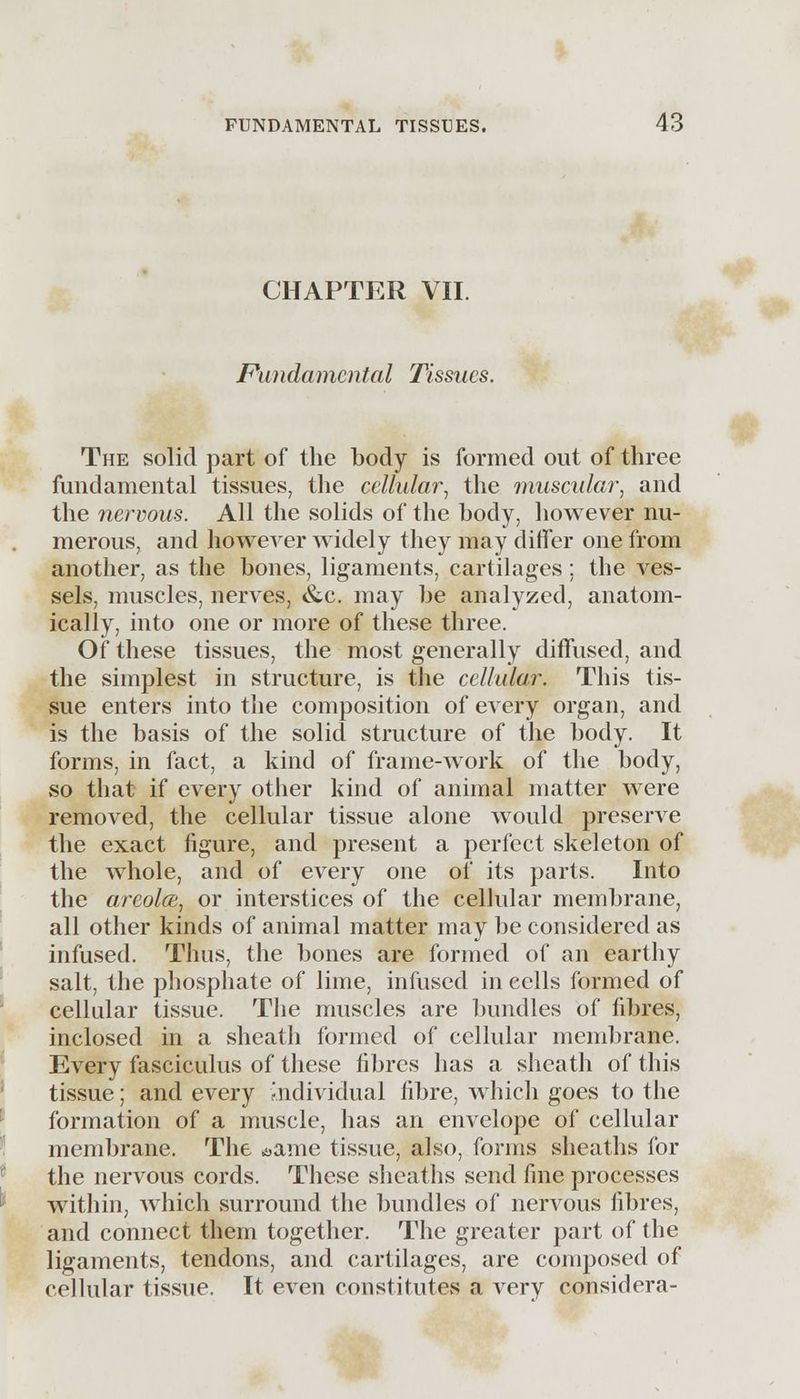 CHAPTER VII. Fundamental Tissues. The solid part of the body is formed out of three fundamental tissues, the cellular, the muscular, and the nervous. All the solids of the body, however nu- merous, and however widely they may differ one from another, as the bones, ligaments, cartilages: the ves- sels, muscles, nerves, &c. may be analyzed, anatom- ically, into one or more of these three. Of these tissues, the most generally diffused, and the simplest in structure, is the cellular. This tis- sue enters into the composition of every organ, and is the basis of the solid structure of the body. It forms, in fact, a kind of frame-work of the body, so that if every other kind of animal matter were removed, the cellular tissue alone would preserve the exact figure, and present a perfect skeleton of the whole, and of every one of its parts. Into the areolce, or interstices of the cellular membrane, all other kinds of animal matter may be considered as infused. Thus, the bones are formed of an earthy salt, the phosphate of lime, infused in cells formed of cellular tissue. The muscles are bundles of fibres, inclosed in a sheath formed of cellular membrane. Every fasciculus of these fibres has a sheath of this tissue; and every individual fibre, which goes to the formation of a muscle, has an envelope of cellular membrane. The ^ame tissue, also, forms sheaths for the nervous cords. These sheaths send fine processes within, which surround the bundles of nervous fibres, and connect them together. The greater part of the ligaments, tendons, and cartilages, are composed of cellular tissue. It even constitutes a very considera-