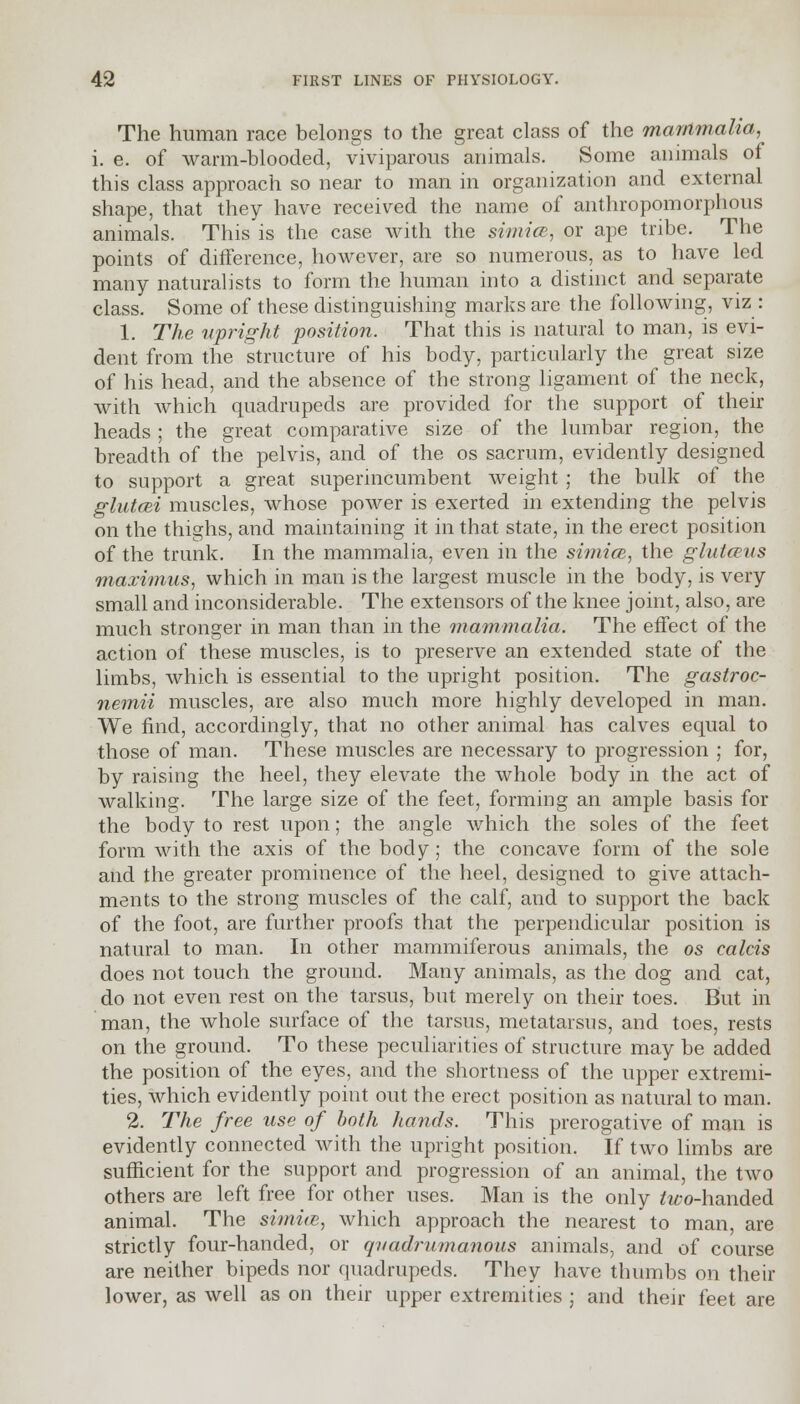 The human race belongs to the great class of the mammalia, i. e. of warm-blooded, viviparous animals. Some animals of this class approach so near to man in organization and external shape, that they have received the name of anthropomorphous animals. This is the case with the simicB, or ape tribe. The points of difference, however, are so numerous, as to have led many naturalists to form the human into a distinct and separate class. Some of these distinguishing marks are the following, viz : 1. The upright position. That this is natural to man, is evi- dent from the structure of his body, particularly the great size of his head, and the absence of the strong ligament of the neck, with which quadrupeds are provided for the support of their heads ; the great comparative size of the lumbar region, the breadth of the pelvis, and of the os sacrum, evidently designed to support a great superincumbent weight ; the bulk of the glutcei muscles, whose power is exerted in extending the pelvis on the thighs, and maintaining it in that state, in the erect position of the trunk. In the mammalia, even in the simian, the glutceus maximus, which in man is the largest muscle in the body, is very small and inconsiderable. The extensors of the knee joint, also, are much stronger in man than in the mammalia. The effect of the action of these muscles, is to preserve an extended state of the limbs, which is essential to the upright position. The gastroc- nemii muscles, are also much more highly developed in man. We find, accordingly, that no other animal has calves equal to those of man. These muscles are necessary to progression ; for, by raising the heel, they elevate the whole body in the act of walking. The large size of the feet, forming an ample basis for the body to rest upon; the angle which the soles of the feet form with the axis of the body; the concave form of the sole and the greater prominence of the heel, designed to give attach- ments to the strong muscles of the calf, and to support the back of the foot, are further proofs that the perpendicular position is natural to man. In other mammiferous animals, the os calcis does not touch the ground. Many animals, as the dog and cat, do not even rest on the tarsus, but merely on their toes. But in man, the whole surface of the tarsus, metatarsus, and toes, rests on the ground. To these peculiarities of structure may be added the position of the eyes, and the shortness of the upper extremi- ties, which evidently point out the erect position as natural to man. 2. The free use of both hands. This prerogative of man is evidently connected with the upright position. If two limbs are sufficient for the support and progression of an animal, the two others are left free for other uses. Man is the only two-handed animal. The simi(B, which approach the nearest to man, are strictly four-handed, or qvadrumanous animals, and of course are neither bipeds nor quadrupeds. They have thumbs on their lower, as well as on their upper extremities ; and their feet are