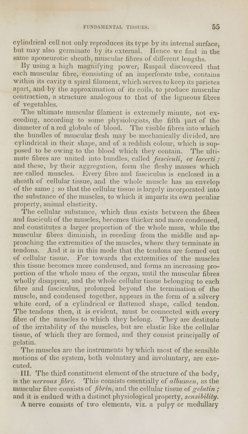 cylindrical cell not. only reproduces its type by its internal surface, but may also germinate by its external. Hence we find in the same aponeurotic sheath, muscular fibres of different lengths. By using a high magnifying power, Raspail discovered that each muscular fibre, consisting of an imperforate tube, contains within its cavity a spiral filament, which serves to keep its parietes apart, and by the approximation of its coils, to produce muscular contraction, a structure analogous to that of the ligneous fibres of vegetables. The ultimate muscular filament is extremely minute, not ex- ceeding, according to some physiologists, the fifth part of the diameter of a red globule of blood. The visible fibres into which the bundles of muscular flesh may be mechanically divided, are cylindrical in their shape, and of a reddish colour, which is sup- posed to be owing to the blood which they contain. The ulti- mate fibres are united into bundles, called fasciculi, or lacerti ; and these, by their aggregation, form the fleshy masses which are called muscles. Every fibre and fasciculus is enclosed in a sheath of cellular tissue, and the whole muscle has an envelop of the same ; so that the cellular tissue is largely incorporated into the substance of the muscles, to which it imparts its own peculiar property, animal elasticity. The cellular substance, which thus exists between the fibres and fasciculi of the muscles, becomes thicker and more condensed, and constitutes a larger proportion of the whole mass, while the muscular fibres diminish, in receding from the middle and ap- proaching the extremities of the muscles, where they terminate in tendons. And it is in this mode that the tendons are formed out of cellular tissue. For towards the extremities of the muscles this tissue becomes more condensed, and forms an increasing pro- portion of the whole mass of the organ, until the muscular fibres wholly disappear, and the whole cellular tissue belonging to each fibre and fasciculus, prolonged beyond the termination of the muscle, and condensed together, appears in the form of a silvery white cord, of a cylindrical or flattened shape, called tendon. The tendons then, it is evident, must be connected with every fibre of the muscles to which they belong. They are destitute of the irritability of the muscles, but are elastic like the cellular tissue, of which they are formed, and they consist principally of gelatin. The muscles are the instruments by which most of the sensible motions of the system, both voluntary and involuntary, are exe- cuted. III. The third constituent element of the structure of the body, is the nervous fibre. This consists essentially of albumen, as the muscular fibre consists of fibrin, and the cellular tissue of gelatin ; and it is endued with a distinct physiological property, sensibility. A nerve consists of two elements, viz. a pulpy or medullary