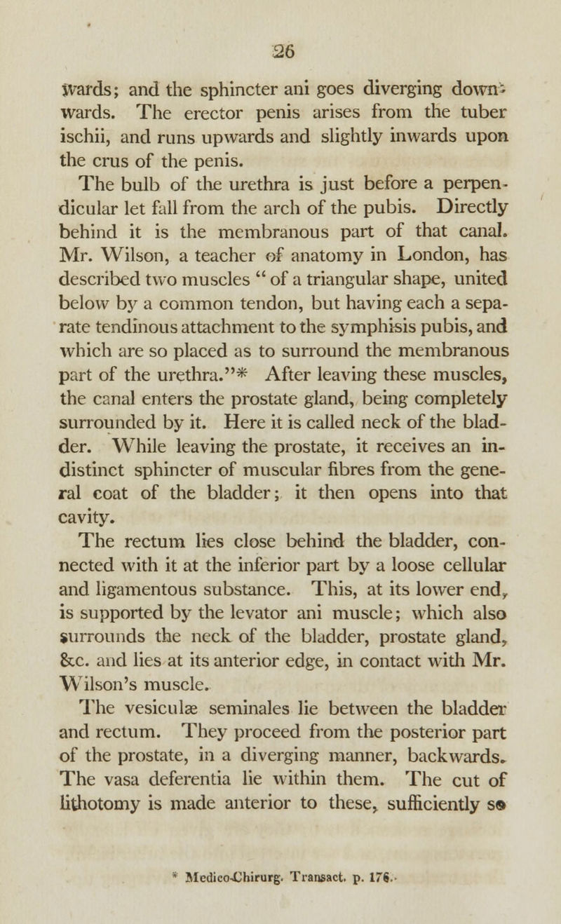 wards; and the sphincter ani goes diverging down- wards. The erector penis arises from the tuber ischii, and runs upwards and slightly inwards upon the cms of the penis. The bulb of the urethra is just before a perpen- dicular let fall from the arch of the pubis. Directly behind it is the membranous part of that canal. Mr. Wilson, a teacher of anatomy in London, has described two muscles  of a triangular shape, united below by a common tendon, but having each a sepa- rate tendinous attachment to the symphisis pubis, and which are so placed as to surround the membranous part of the urethra.* After leaving these muscles, the canal enters the prostate gland, being completely surrounded by it. Here it is called neck of the blad- der. While leaving the prostate, it receives an in- distinct sphincter of muscular fibres from the gene- ral coat of the bladder; it then opens into that cavity. The rectum lies close behind the bladder, con- nected with it at the inferior part by a loose cellular and ligamentous substance. This, at its lower end,, is supported by the levator ani muscle; which also surrounds the neck of the bladder, prostate gland, &c. and lies at its anterior edge, in contact with Mr. Wilson's muscle. The vesicular seminales lie between the bladder and rectum. They proceed from the posterior part of the prostate, in a diverging manner, backwards.. The vasa deferentia lie within them. The cut of lithotomy is made anterior to these, sufficiently s® * Mcdico^Chirurg. Transact, p. 176.-