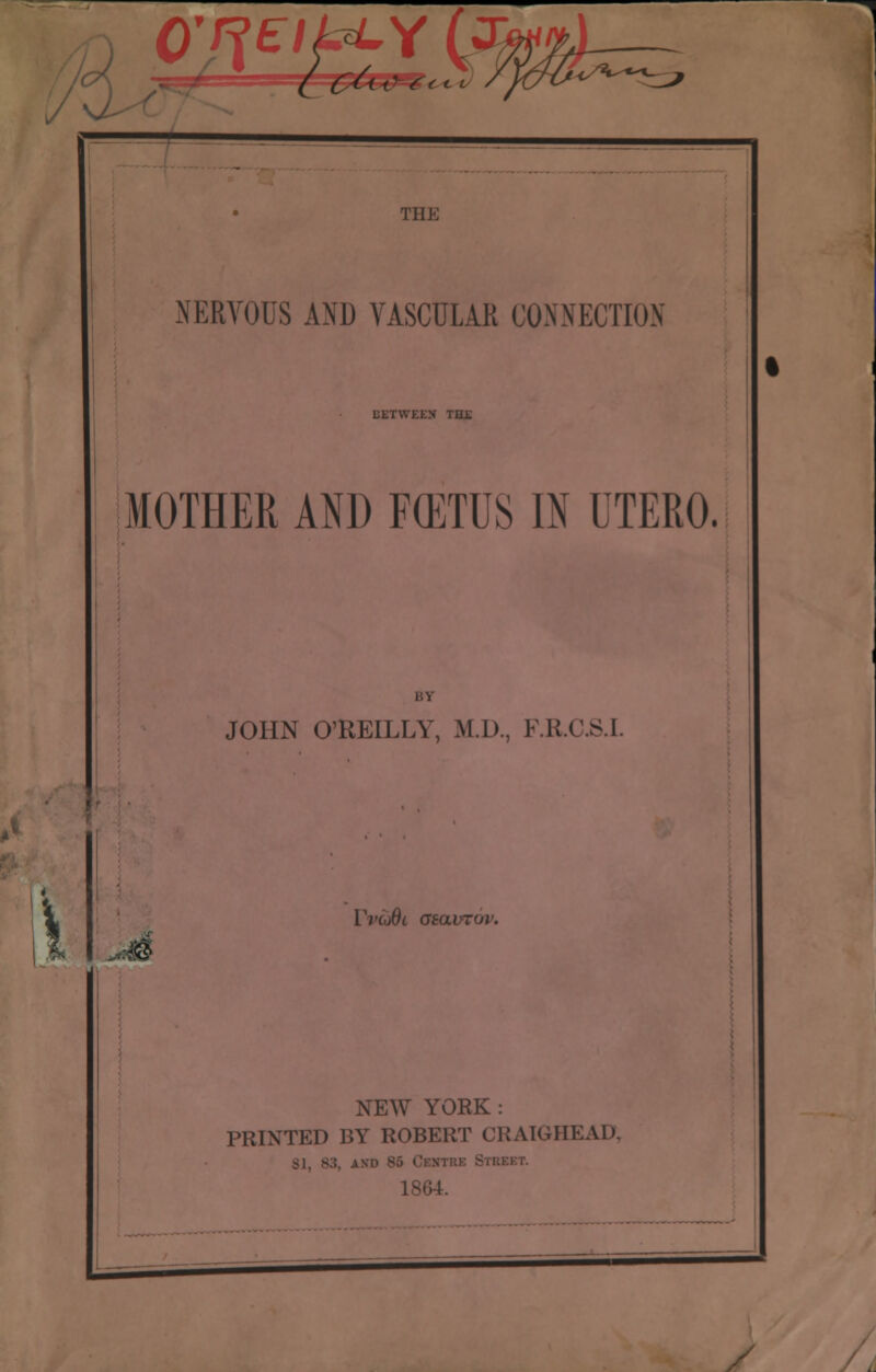 U- the NERVOUS AND VASCULAR CONNECTION UETWKEN THJE MOTHER AND F(ETUS IN UTERO. JOHN O'REILLY, M.D., F.R.< V VvtoOi Gsavrov, NEW YORK : PRINTED BY ROBERT CRAIGHEAD, /