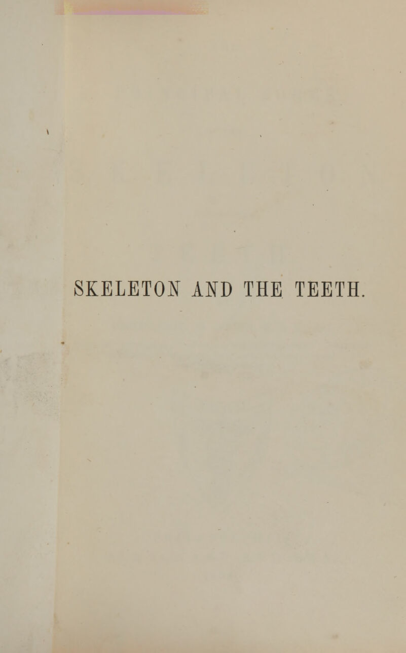 SKELETON AND THE TEETH