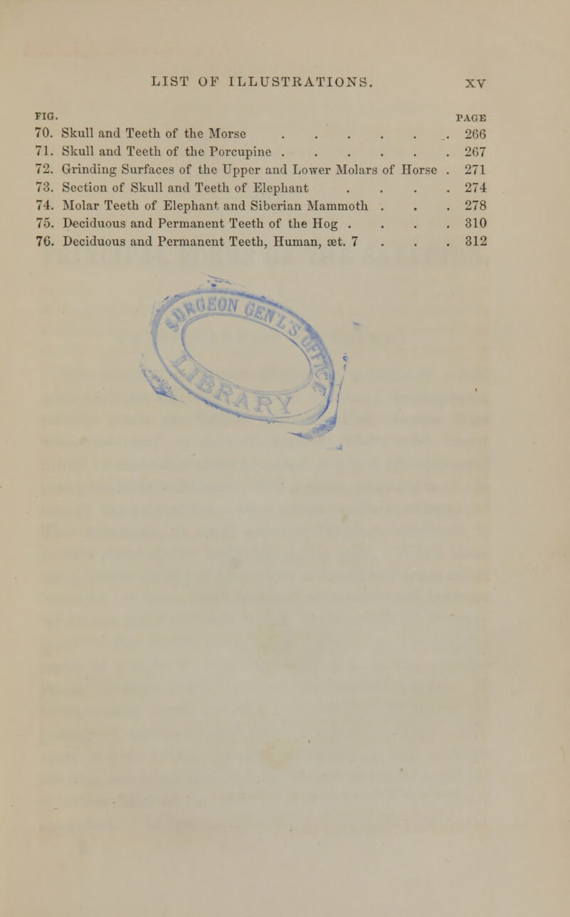 Skull and Teeth of the Morse . . Skull and Teeth of the Porcupine Grinding Surfaces of the Upper and Lower Molars of Horse Section of Skull and Teeth of Elephant Molar Teeth of Elephant and Siberian Mammoth . Deciduous and Permanent Teeth of the Hog . PAGE 266 267 271 274 278 310 312 *i#