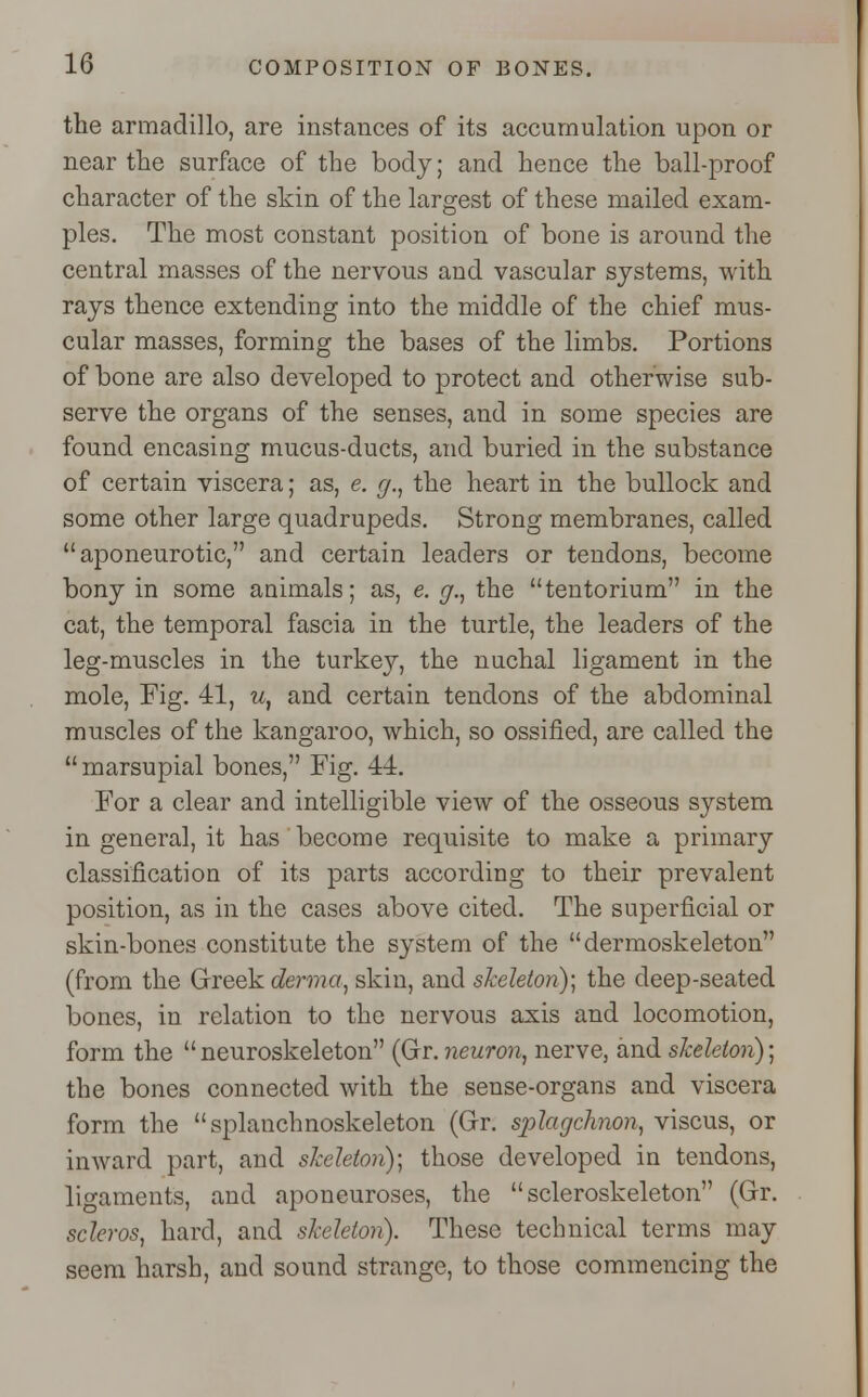 the armadillo, are instances of its accumulation upon or near the surface of the body; and hence the ball-proof character of the skin of the largest of these mailed exam- ples. The most constant position of bone is around the central masses of the nervous and vascular systems, with rays thence extending into the middle of the chief mus- cular masses, forming the bases of the limbs. Portions of bone are also developed to protect and otherwise sub- serve the organs of the senses, and in some species are found encasing mucus-ducts, and buried in the substance of certain viscera; as, e. g., the heart in the bullock and some other large quadrupeds. Strong membranes, called aponeurotic, and certain leaders or tendons, become bony in some animals; as, e. g., the tentorium in the cat, the temporal fascia in the turtle, the leaders of the leg-muscles in the turkey, the nuchal ligament in the mole, Fig. 41, w, and certain tendons of the abdominal muscles of the kangaroo, which, so ossified, are called the  marsupial bones, Fig. 44. For a clear and intelligible view of the osseous system in general, it has become requisite to make a primary classification of its parts according to their prevalent position, as in the cases above cited. The superficial or skin-bones constitute the system of the dermoskeleton (from the Greek derma, skin, and skeleton); the deep-seated bones, in relation to the nervous axis and locomotion, form the  neuroskeleton (Gr. neuron, nerve, and skeleton); the bones connected with the sense-organs and viscera form the splanchnoskeleton (Gr. splagchrwn, viscus, or inward part, and skeleton); those developed in tendons, ligaments, and aponeuroses, the  scleroskeleton (Gr. scleros, hard, and skeleton). These technical terms may seem harsh, and sound strange, to those commencing the