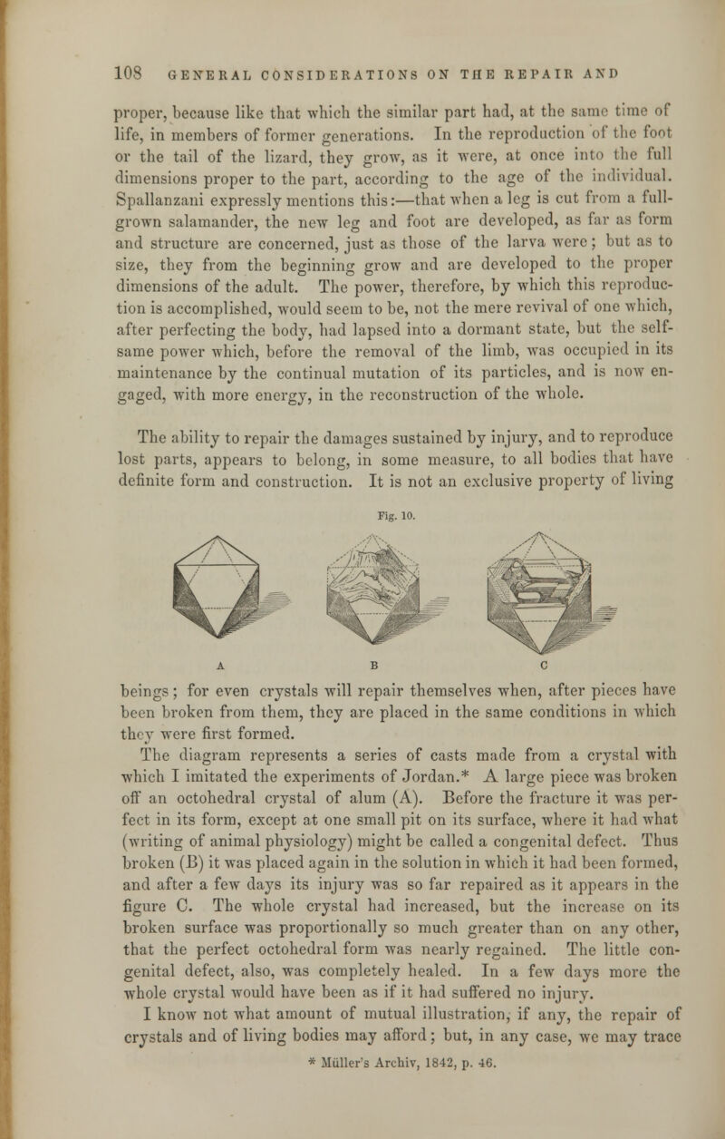 proper, because like that which the similar part had, at the same time of life, in members of former generations. In the reproduction of the font or the tail of the lizard, they grow, as it were, at once into the full dimensions proper to the part, according to the age of the individual. Spallanzani expressly mentions this:—that when a leg is cut from a full- grown salamander, the new leg and foot are developed, as far as form and structure are concerned, just as those of the larva were; but as to size, they from the beginning grow and are developed to the proper dimensions of the adult. The power, therefore, by which this reproduc- tion is accomplished, would seem to be, not the mere revival of one which, after perfecting the body, had lapsed into a dormant state, but the self- same power which, before the removal of the limb, was occupied in its maintenance by the continual mutation of its particles, and is now en- gaged, with more energy, in the reconstruction of the whole. The ability to repair the damages sustained by injury, and to reproduce lost parts, appears to belong, in some measure, to all bodies that have definite form and construction. It is not an exclusive property of living Fig. 10. -y\-- beings; for even crystals will repair themselves when, after pieces have been broken from them, they are placed in the same conditions in which they were first formed. The diagram represents a series of casts made from a crystal with which I imitated the experiments of Jordan.* A large piece was broken off an octohedral crystal of alum (A). Before the fracture it was per- fect in its form, except at one small pit on its surface, where it had what (writing of animal physiology) might be called a congenital defect. Thus broken (B) it was placed again in the solution in which it had been formed, and after a few days its injury was so far repaired as it appears in the figure C. The whole crystal had increased, but the increase on its broken surface was proportionally so much greater than on any other, that the perfect octohedral form was nearly regained. The little con- genital defect, also, was completely healed. In a few days more the whole crystal would have been as if it had suffered no injury. I know not what amount of mutual illustration, if any, the repair of crystals and of living bodies may afford; but, in any case, we may trace * Miiller's Archiv, 1842, p. 46.