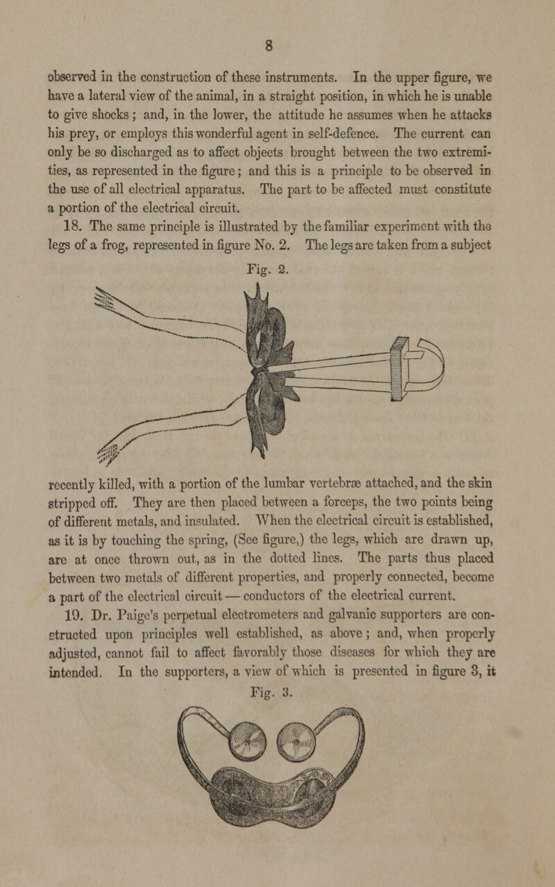 observed in the construction of these instruments. In the upper figure, we have a lateral view of the animal, in a straight position, in which he is unable to give shocks ; and, in the lower, the attitude he assumes when he attacks his prey, or employs this wonderful agent in self-defence. The current can only be so discharged as to affect objects brought between the two extremi- ties, as represented in the figure; and this is a principle to be observed in the use of all electrical apparatus. The part to be affected must constitute a portion of the electrical circuit. 18. The same principle is illustrated by the familiar experiment with the legs of a frog, represented in figure No. 2. The legs are taken from a subject Fig. 2. recently killed, with a portion of the lumbar vertebrae attached, and the skin stripped off. They arc then placed between a forceps, the two points being of different metals, and insulated. When the electrical circuit is established, as it is by touching the spring, (See figure,) the legs, which are drawn up, arc at once thrown out, as in the dotted lines. The parts thus placed between two metals of different properties, and properly connected, become a part of the electrical circuit — conductors of the electrical current. 19. Dr. Paige's perpetual electrometers and galvanic supporters are con- structed upon principles well established, as above; and, when properly adjusted, cannot fail to affect favorably those diseases for which they are intended. In tho supporters, a view of which is presented in figure 3, it Fig. 3.
