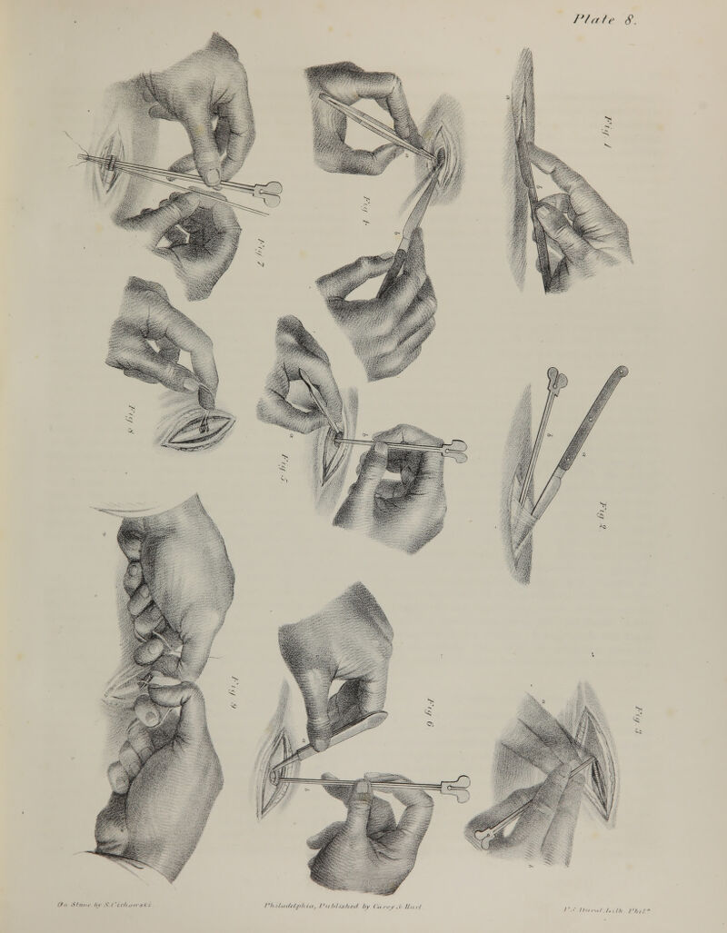 I'titlr 8. <#* - : . / iv V (>„ Stone In ,V i '/<•/, ,/m-.y<', rh-UatUlpltiu, Published- by <„ ,,-y A II ,<, I /'./ i>,,,„/./.,/), rh,r