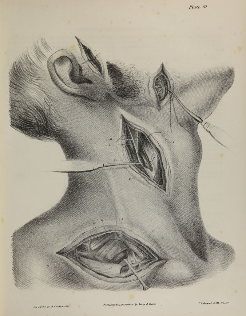 (In Stone iy S. Ciohotrs**-- Philadelphia,-Published, by Carey £>JBa.rt