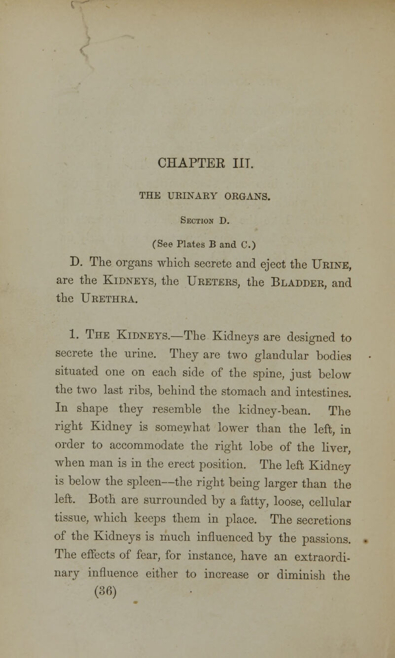 THE URINARY ORGANS. Section D. (See Plates B and C.) D. The organs which secrete and eject the Urine, are the Kidneys, the Ureters, the Bladder, and the Urethra. 1. The Kidneys.—The Kidneys are designed to secrete the urine. They are two glandular bodies situated one on each side of the spine, just below the two last ribs, behind the stomach and intestines. In shape they resemble the kidney-bean. The right Kidney is somewhat lower than the left, in order to accommodate the right lobe of the liver, when man is in the erect position. The left Kidney is below the spleen—the right being larger than the left. Both are surrounded by a fatty, loose, cellular tissue, which keeps them in place. The secretions of the Kidneys is much influenced by the passions. The effects of fear, for instance, have an extraordi- nary influence either to increase or diminish the