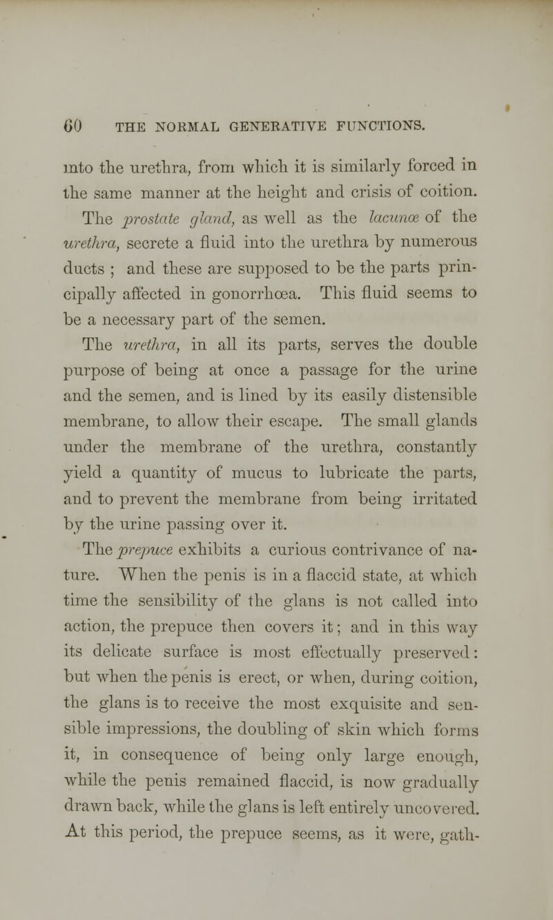 mto the urethra, from which it is similarly forced in the same manner at the height and crisis of coition. The prostate gland, as well as the lacunae of the urethra, secrete a fluid into the urethra by numerous ducts ; and these are supposed to be the parts prin- cipally affected in gonorrhoea. This fluid seems to be a necessary part of the semen. The urethra, in all its parts, serves the double purpose of being at once a passage for the urine and the semen, and is lined by its easily distensible membrane, to allow their escape. The small glands under the membrane of the urethra, constantly yield a quantity of mucus to lubricate the parts, and to prevent the membrane from being irritated by the urine passing over it. The prepuce exhibits a curious contrivance of na- ture. When the penis is in a flaccid state, at which time the sensibility of the glans is not called into action, the prepuce then covers it; and in this way its delicate surface is most effectually preserved: but when the penis is erect, or when, during coition, the glans is to receive the most exquisite and sen- sible impressions, the doubling of skin which forms it, in consequence of being only large enough, while the penis remained flaccid, is now gradually drawn back, while the glans is left entirely uncovered. At this period, the prepuce seems, as it were, gath-