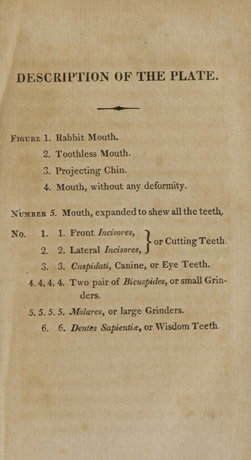 DESCRIPTION OF THE PLATE. Figure 1. Rabbit Mouth. 2. Toothless Mouth. 3. Projecting Chin. 4. Mouth, without any deformity. Number 5. Mouth, expanded to shew all the teeth, No. 1. 1. Front Incisores, ) J. or Cutting Teeth. 2. 2. Lateral Incisores, J 3. 3. Cuspidati, Canine, or Eye Teeth. 4.4.4. 4. Two pair of Bicuspides, or small Grin- ders. 5. 5. 5. 5. Molares, or large Grinders.