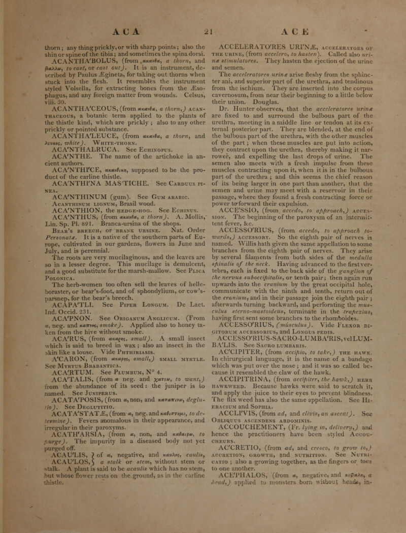 thorn; any thing prickly, or with sharp points ; also the shin or spine of the tibia; and sometimes the spina dorsi. ACANTHA'BOLUS, (from .«x«vd«;, a thorn, and fixXXu, to cast, or cast out J. It is an instrument, de- scribed by Paulus ^Egineta, for taking out thorns when stuck into the flesh. It resembles the instrument styled Volsclla, for extracting bones from the ^Eso- phagus, and any foreign matter from wounds. Celsus, viii. 30. ACANTHA'CEOUS, (from «««««, a thorn,) acan- thaceous, a botanic term applied to the plants of the thistle kind, which are prickly ; also to any other prickly or pointed substance. ACANTHA'LEUCE, (from xkxv6x, a thorn, and Mvxos, white). White-thorn. ACA'NTHALRUCA. See Echikopvs. ACA'NTHE. The name of the artichoke in an- cient authors. ACA'NTHI'CE, xx.x\>&ix.y, supposed to be the pro- duct of the carline thistle. ACA'NTHI'NA MAS'TICHE. See Carduus ti- nea. ACA'NTHINUM (gum). See Gum Arabic. ■ Acanthinum lignum, Brasil wood. ACA'NTHION, the hedge-hog. See Echinus. ACANTHUS, (from xx.uvSx, a thorn). A. Mollis, Lin. Sp. PI. 891. Branca-ursina of the shops. Bear's breech, or brank ursine. Nat. Order Personal*. It is a native of the southern parts of Eu- rope, cultivated in our gardens, flowers in June and July, and is perennial. The roots are very mucilaginous, and the leaves are so in a lesser degree. This mucilage is demulcent, and a good substitute for the marsh-mallow. See Plica Polonica. The herb-women too often sell the leaves of helle- boraster, or bear's-foot, and of sphondylium, or eow's- parsnep, for the bear's breech. ACAPA'TLI. See Piper Longum. De Laet. Ind. Occid. 231. ACA'PNON. See Origanum Anglicum. (From a, neg. and *«:rv*s, smoke). Applied also to honey ta- ken from the hive without smoke. ACA'RUS, (from ***%*><;, small). A small insect which is said to breed in wax ; also an insect in the skin like a louse. Vide Phthiriasis. A'CARON, (from xy-xyn, small,) small myrtle. See Myrtus Brabantica. ACA'RTUM. See Plumbum, N° 4. ACA'TALIS, (from x neg. and xxnu, to want,) from the abundance of its seed : the juniper is so named. See Juniperus. ACATA'POSIS, (from «,, non, and kcctxttivm, deglu- >io). See Deglutitio. ACATA'STATiE, (from-«, neg. andxa^s-r^;, to de- 'ermine). Fevers anomalous in their appearance, and irregular in their paroxyms. ACATH'ARSIA, (from a, non, and y.xSxtpu, to fairge). The impurity in a diseased body not yet purged off. ACAU'LIS, > of x, negative, and kxvXos, caulis, ACAU'LOS,) a stalk or stem, without stem or stalk. A plant is said to be acaulis which has no stem, but whose flower rests on the ground, as in the carline tie. ACCELERATORS URI'N^, accelerators of the urine, (from accelero, to hasten). Called also uri- 7ite stimulatores. They hasten the ejection of the urine and semen. The acceleratores urinx arise fleshy from the sphinc- ter ani, and superior part of the urethra, and tendinous from the ischium. They are inserted into the corpus cavernosum, from near their beginning to a little below their union. Douglas. Dr. Hunter observes, that the acceleratores urina are fixed to and surround the bulbous part of the urethra, meeting in a middle line or tendon at its ex- ternal posterior part. They are blended, at the end of the bulbous part of the urethra, with the other muscles of the part ; when these muscles are put into action, they contract upon the urethra, thereby making it nar- rower, and expelling the last drops of urine. The semen also meets with a fresh impulse from these muscles contracting upon it, when it is in the bulbous part of the urethra ; and this seems the chief reason of its being larger in one part than another, that the semen and urine may meet with a reservoir in their passage, where they found a fresh contracting force or power to-forward their expulsion. ACCE'SSIO, (from accedo, to a/i/iroach,) acces- sion. The beginning of the paroxysm of an intermit- tent fever, Sec. ACCESSO'RlUS, (from accedo, to a/i/iroach to- wards,) accessory. So the eighth pair of nerves is named. Willis hath given the same appellation to some branches from the eighth pair of nerves. They arise by several filaments from both sides of the medulla spinalis of the neck. Having advanced to the first ver- tebra, each is fixed to the back side of the ganglion of the nervus suboccifiitalis, or tenth pair; then again run upwards into the cranium by the great occipital hole, communicate with the ninth and tenth, return out of the eraniumf and in their passage join the eighth pair ; afterwards turning backward, and perforating the mus- culus sterno-mastoideus, terminate in the trapezius, having first sent some branches to the rhomboides. ACCESSO'RlUS, (miisculus). Vide Flexor di- gitorum accessorius, and Longus pedis. ACCESSO'RIUS-SACRO-LUMBA'RIS,velLUM- BA'LIS. See Sacro lumbaris. AC'CIPITER, (from acci/iio, to take,) the hawk. In chirurgical language, it is the name of a bandage which was put over the nose ; and it was so called be- cause it resembled the claw of the hawk. ACCIPITRINA, (from acci/iiter, the haw!:,) herb hawkweed. Because hawks were said to scratch it, and apply the juice to their eyes to prevent blindness. The flix weed has also the same appellation. See Hi- era cium and Sophia. ACCLI'VIS, (from ad, and clivis, an ascent). See OnLiquus asci.ndens abdominis. ACCOUCHEMENT, (Fr. lying in, delivery,) and hence the practitioners have been styled Accou- cheurs. AC'CRETIO, (from ad, and cresco, to grow to,) accretion, growth) and nutrition. See Nutri- i'atio ; also a growing together, as the fingers or toe* to one another. ACE'PHALOS, (from x, negative, and x.<QxXr,, a Jicad,) applied to monsters born without heads, in-