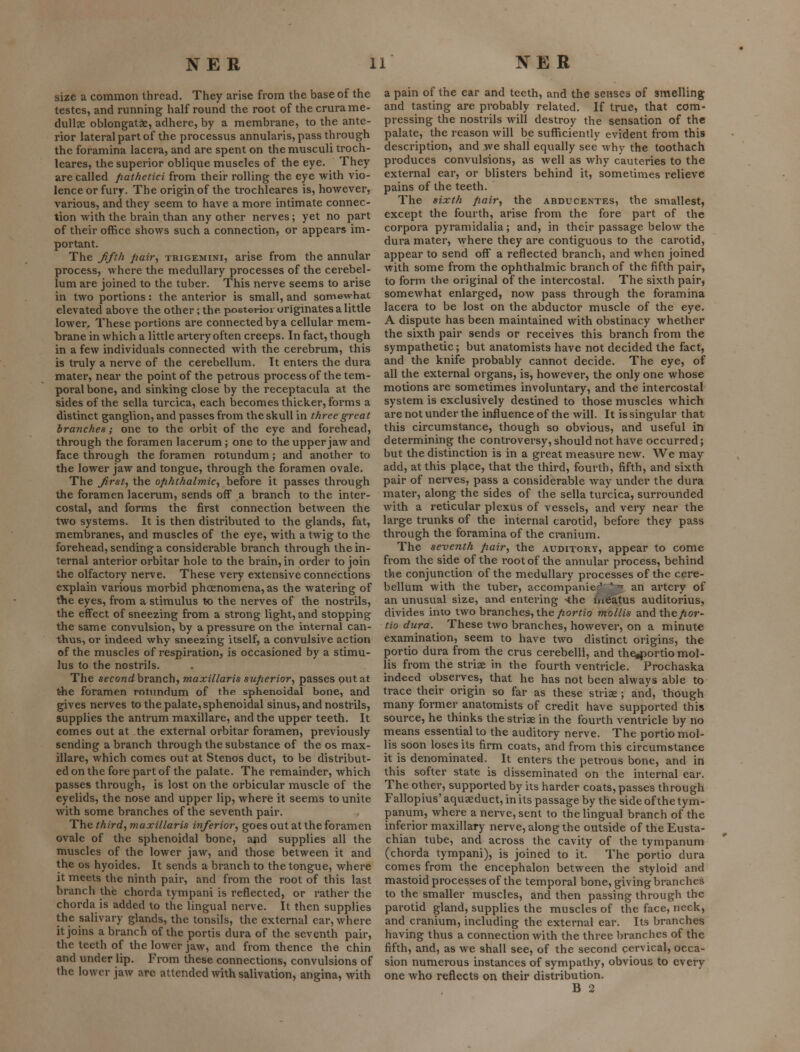 size a common thread. They arise from the base of the testes, and running half round the root of the crura me- dullae oblongatae, adhere, by a membrane, to the ante- rior lateral part of the processus annularis, pass through the foramina lacera, and are spent on themusculi troch- leares, the superior oblique muscles of the eye. They are called fiathetici from their rolling the eye with vio- lence or fury. The origin of the trochleares is, however, various, and they seem to have a more intimate connec- tion with the brain than any other nerves; yet no part of their office shows such a connection, or appears im- portant. The Jifth pair, trigemini, arise from the annular process, where the medullary processes of the cerebel- lum are joined to the tuber. This nerve seems to arise in two portions: the anterior is small, and somewhat elevated above the other; the posterior originates a little lower. These portions are connected by a cellular mem- brane in which a little artery often creeps. In fact, though in a few individuals connected with the cerebrum, this is truly a nerve of the cerebellum. It enters the dura mater, near the point of the petrous process of the tem- poral bone, and sinking close by the receptacula at the sides of the sella turcica, each becomes thicker, forms a distinct ganglion, and passes from the skull in three great branches; one to the orbit of the eye and forehead, through the foramen lacerum ; one to the upper jaw and face through the foramen rotundum; and another to the lower jaw and tongue, through the foramen ovale. The Jirst^ the ophthalmic,, before it passes through the foramen lacerum, sends off a branch to the inter- costal, and forms the first connection between the two systems. It is then distributed to the glands, fat, membranes, and muscles of the eye, with a twig to the forehead, sending a considerable branch through the in- ternal anterior orbitar hole to the brain, in order to join the olfactory nerve. These very extensive connections explain various morbid phcenomena, as the watering of the eyes, from a stimulus to the nerves of the nostrils, the effect of sneezing from a strong light, and stopping the same convulsion, by a pressure on the internal can- thus, or indeed why sneezing itself, a convulsive action of the muscles of respiration, is occasioned by a stimu- lus to the nostrils. The second branch, maxillaris sufierior, passes put at t-he foramen rotundum of the sphenoidal bone, and gives nerves to the palate, sphenoidal sinus, and nostrils, supplies the antrum maxillare, and the upper teeth. It comes out at the external orbitar foramen, previously sending a branch through the substance of the os max- illare, which comes out at Stenos duct, to be distribut- ed on the fore part of the palate. The remainder, which passes through, is lost on the orbicular muscle of the eyelids, the nose and upper lip, where it seems to unite with some branches of the seventh pair. The third, maxillaris inferior, goes out at the foramen ovale of the sphenoidal bone, and supplies all the muscles of the lower jaw, and those between it and the OS hyoides. It sends a branch to the tongue, where it meets the ninth pair, and from the root of this last branch the chorda tympani is reflected, or rather the chorda is added to the lingual nerve. It then supplies the salivary glands, the tonsils, the external ear, where it joins a branch of the portis dura of the seventh pair, the teeth of the lower jaw, and from thence the chin and under lip. From these connections, convulsions of the lower jaw arc attended with salivation, angina, with a pain of the ear and teeth, and the senses of smelling and tasting are probably related. If true, that com- pressing the nostrils will destroy the sensation of the palate, the reason will be sufficiently evident from this description, and we shall equally see why the toothach produces convulsions, as well as why cauteries to the external ear, or blisters behind it, sometimes relieve pains of the teeth. The sixth fiair, the abducentes, the smallest, except the fourth, arise from the fore part of the corpora pyramidalia; and, in their passage below the dura mater, where they are contiguous to the carotid, appear to send off a reflected branch, and when joined with some from the ophthalmic branch of the fifth pair, to form the original of the intercostal. The sixth pairj somewhat enlarged, now pass through the foramina lacera to be lost on the abductor muscle of the eye. A dispute has been maintained with obstinacy whether the sixth pair sends or receives this branch from the sympathetic; but anatomists have not decided the fact, and the knife probably cannot decide. The eye, of all the external organs, is, however, the only one whose motions are sometimes involuntary, and the intercostal system is exclusively destined to those muscles which are not under the influence of the will. It is singular that this circumstance, though so obvious, and useful in determining the controversy, should not have occurred; but the distinction is in a great measure new. We may add, at this place, that the third, fourth, fifth, and sixth pair of nerves, pass a considerable way under the dura mater, along the sides of the sella turcica, surrounded with a reticular plexus of vessels, and very near the large trunks of the internal carotid, before they pass through the foramina of the cranium. The seventh pair, the auditory, appear to come from the side of the root of the annular process, behind the conjunction of the medullary processes of the cere- bellum with the tuber, accompanier' '-]' an artery of an unusual size, and entering <he iueatus auditorius, divides into two branches, the/zor^zo mollis and the/ior- tio dura. These two branches, however, on a minute examination, seem to have two distinct origins, the portio dura from the crus cerebelli, and the4)ortio mol- lis from the striae in the fourth ventricle. Prochaska indeed observes, that he has not been always able to trace their origin so far as these striae ; and, though many former anatomists of credit have supported this source, he thinks the striae in the fourth ventricle by no means essential to the auditory nerve. The portio mol- lis soon loses its firm coats, and from this circumstance it is denominated. It enters the petrous bone, and in this softer state is disseminated on the internal ear. The other, supported by its harder coats, passes through Fallopius' aquaeduct, in its passage by the side of the tym- panum, where a nerve, sent to the lingual branch of the inferior maxillary nerve, along the outside of the Eusta- chian tube, and across the cavity of the tympanum (chorda tympani), is joined to it. The portio dura comes from the encephalon between the styloid and mastoid processes of the temporal bone, giving branches to the smaller muscles, and then passing through the parotid gland, supplies the muscles of the face, neck, and cranium, including the external ear. Its branches having thus a connection with the three branches of the fifth, and, as we shall see, of the second cervical, occa- sion numerous instances of sympathy, obvious to every one who reflects on their distribution.