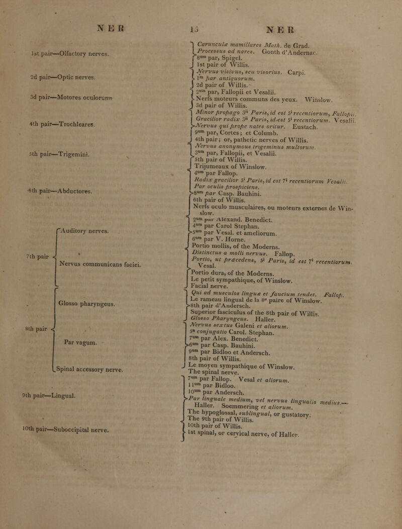 N ER 1st pair—Olfactory nerves. 2d pair—Optic nerves. 3d pair—Motores oculorunr^ 4th pair—Trochleares, 5th pair—Trigemini. 6th pair—Abductores. Auditory nerves. 7th pair < Sth pair < Nervus communicans faciei. GIosso pharyngeus. Par vagum. .Spinal accessory nerve. 9th pair—Lingual. 10th pair—Suboccipital nerve. I CaruncuU mamillares Math, de Grad. VProcessus ad nares. Gonth d'Andernac [8™ par, Spigel. J 1st pair of Willis. 1 JVervus visivus, seu visorius. Carpi. L l! ^lar antiquorum. J 2d pair of Willis. }2' par, Fallopii et Vesalii. Nerfs moteurs communs des yeux. Winslow 3d pair of Willis. ^ Minor Jirofiago i^ Par is ^ id est 5'rcccntiorum, Fallojm. i Gracilior radix 3 Paris, id,est 5' recentiorum. Vesalii y>J\rervus qui lirope nates oritur. Eustach. I 9™ par, Cortes ; et Columb. J 4th pair; or, pathetic nerves of Willis, n JVcrvus anonymous trigeminus multorian. .3™ par, Fallopii, et Vesalii. Sth pair of Willis. Trijumeaux of Winslow. 4™ par Fallop. Radix gracilior 5' Paris, id est 7' recentiorum Kcsaiii Par oculis firosfiiciens. ^Qumpar Casp. Bauhini. 6th pair of Willis. Nerfs oculo musculaires, ou moteurs externes de Win- J slow. 2um par Alexand. Benedict. 4' par Carol Stephan. >5»' par Vesal. et ameliorum. eura par V. Home. Portio mollis, of the Moderns. Distinctus a molli nervus. Fallop. Portio, ut pracedens, 5i Paris, id est t recentiorum , Vesal. Portio dura, of the Moderns. Le petit sympathique, of Winslow. Facial nerve. Qui ad musculos lingua et faucium tendet. Fallofi. Le rameau lingual de la 8^ paire of Winslow. >8th pair d'Andersch. Superior fasciculus of the Sth pair of Willis. GIosso PharyngetLs. Haller. JVervus sextus Galeni et aliorum. 5» conjugatio Carol. Stephan. r par Alex. Benedict. )>6'n par Casp. Bauhini. 9'n par Bidloo et Andersch. Sth pair of Willis. j Le moyen sympathique of Winslow. The spinal nerve. T par Fallop. Vesal et alioru?n. 11» par Bidloo. 10>^» par Andersch. ^Parlinguale medium, vel nervus lingualis medius.^ nailer. Soemmering et aliorum. The hypoglossal, sublingual, or gustatorv The 9th pair of Willis, loth pair of Willis. ' 1st spinal, or cervical nerve, of Haller.