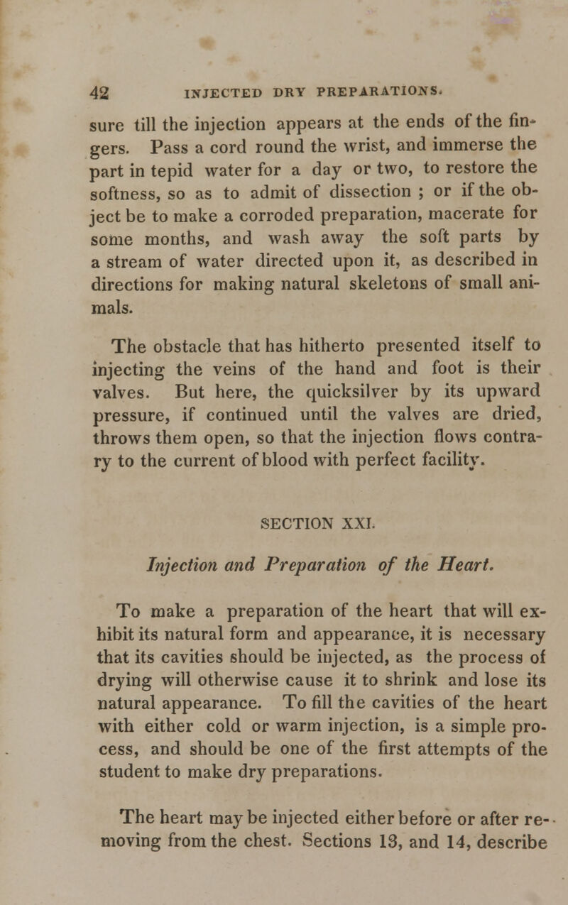 sure till the injection appears at the ends of the fin* gers. Pass a cord round the wrist, and immerse the part in tepid water for a day or two, to restore the softness, so as to admit of dissection ; or if the ob- ject be to make a corroded preparation, macerate for some months, and wash away the soft parts by a stream of water directed upon it, as described in directions for making natural skeletons of small ani- mals. The obstacle that has hitherto presented itself to injecting the veins of the hand and foot is their valves. But here, the quicksilver by its upward pressure, if continued until the valves are dried, throws them open, so that the injection flows contra- ry to the current of blood with perfect facility. SECTION XXI. Injection and Preparation of the Heart. To make a preparation of the heart that will ex- hibit its natural form and appearance, it is necessary that its cavities should be injected, as the process of drying will otherwise cause it to shrink and lose its natural appearance. To fill the cavities of the heart with either cold or warm injection, is a simple pro- cess, and should be one of the first attempts of the student to make dry preparations. The heart maybe injected either before or after re- moving from the chest. Sections 13, and 14, describe