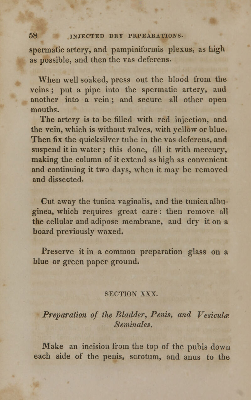 spermatic artery, and pampiniformis plexus, as high as possible, and then the vas deferens. When well soaked, press out the blood from the veins ; put a pipe into the spermatic artery, and another into a vein; and secure all other open mouths. The artery is to be filled with red injection, and the vein, which is without valves, with yellow or blue. Then fix the quicksilver tube in the vas deferens, and suspend it in water; this done, fill it with mercury, making the column of it extend as high as convenient and continuing it two days, when it may be removed and dissected. Cut away the tunica vaginalis, and the tunica albu- ginea, which requires great care: then remove all the cellular and adipose membrane, and dry it on a board previously waxed. Preserve it in a common preparation glass on a blue or green paper ground. SECTION XXX. Preparation of the Bladder, Penis, and Vesiculce Seminales. Make an incision from the top of the pubis down each side of the penis, scrotum, and anus to the