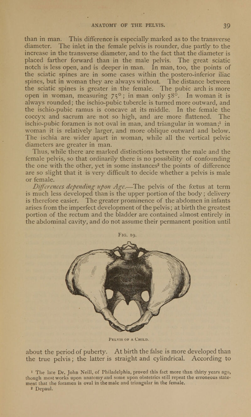 than in man. This difference is especially marked as to the transverse diameter. The inlet in the female pelvis is rounder, due partly to the increase in the transverse diameter, and to the fact that the diameter is placed farther forward than in the male pelvis. The great sciatic notch is less open, and is deeper in man. In man, too, the points of the sciatic spines are in some cases within the postero-inferior iliac spines, but in woman they are always without. The distance between the sciatic spines is greater in the female. The pubic arch is more open in woman, measuring 7$°; m man only 580. In woman it is always rounded; the ischio-pubic tubercle is turned more outward, and the ischio-pubic ramus is concave at its middle. In the female the coccyx and sacrum are not so high, and are more flattened. The ischio-pubic foramen is not oval in man, and triangular in woman;1 in woman it is relatively larger, and more oblique outward and below. The ischia are wider apart in woman, while all the vertical pelvic diameters are greater in man. Thus, while there are marked distinctions between the male and the female pelvis, so that ordinarily there is no possibility of confounding the one with the other, yet in some instances2 the points of difference are so slight that it is very difficult to decide whether a pelvis is male or female. Differences depending upon Age.—The pelvis of the fcetus at term is much less developed than is the upper portion of the body; delivery is therefore easier. The greater prominence of the abdomen in infants arises from the imperfect development of the pelvis; at birth the greatest portion of the rectum and the bladder are contained almost entirely in the abdominal cavity, and do not assume their permanent position until Fig. 19. Pelvis of a Child. about the period of puberty. At birth the false is more developed than the true pelvis; the latter is straight and cylindrical. According to 1 The late Dr. John Neill, of Philadelphia, proved this fact more than thirty years ago, though most works upon anatomy and some upon obstetrics still repeat the erroneous state- ment that the foramen is oval in the male and triangular in the female.