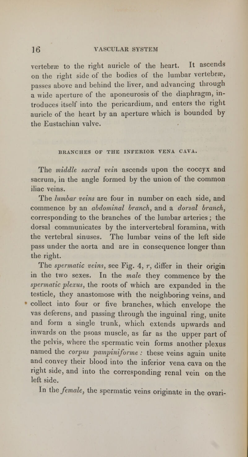 vertebrae to the right auricle of the heart. It ascends on the right side of the bodies of the lumbar vertebra?, passes above and behind the liver, and advancing through a wide aperture of the aponeurosis of the diaphragm, in- troduces itself into the pericardium, and enters the right auricle of the heart by an aperture which is bounded by the Eustachian valve. BRANCHES OF THE INFERIOR VENA CAVA. The middle sacral vein ascends upon the coccyx and sacrum, in the angle formed by the union of the common iliac veins. The lumbar veins are four in number on each side, and commence by an abdominal branch, and a dorsal branch, corresponding to the branches of the lumbar arteries; the dorsal communicates by the intervertebral foramina, with the vertebral sinuses. The lumbar veins of the left side pass under the aorta and are in consequence longer than the right. The spermatic veins, see Fig. 4, r, differ in their origin in the two sexes. In the male they commence by the spermatic plexus, the roots of which are expanded in the testicle, they anastomose with the neighboring veins, and collect into four or five branches, which envelope the vas deferens, and passing through the inguinal ring, unite and form a single trunk, which extends upwards and inwards on the psoas muscle, as far as the upper part of the pelvis, where the spermatic vein forms another plexus named the corpus pampiniforme : these veins again unite and convey their blood into the inferior vena cava on the right side, and into the corresponding renal vein on the left side. In the female, the spermatic veins originate in the ovari-