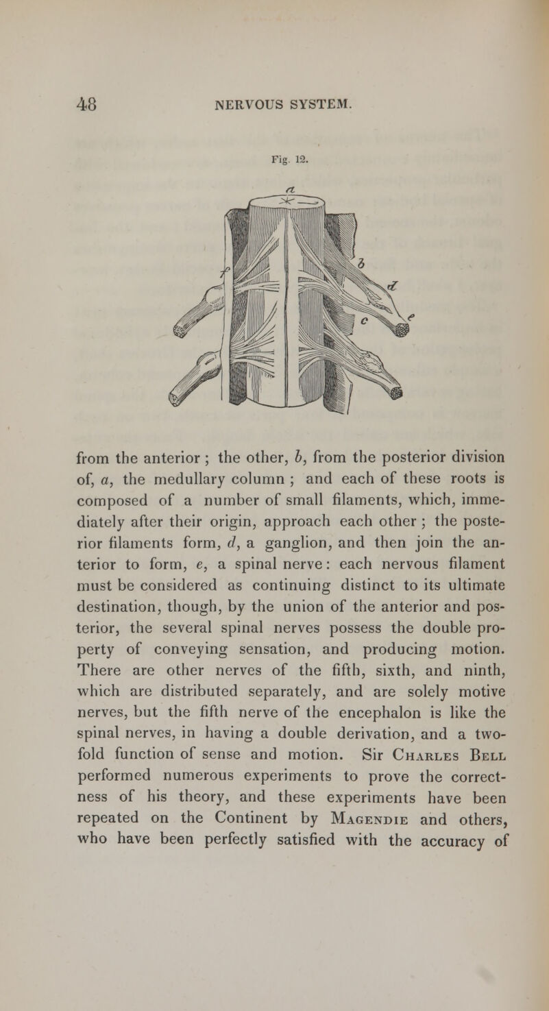 Fig. 12. from the anterior; the other, b, from the posterior division of, a, the medullary column ; and each of these roots is composed of a number of small filaments, which, imme- diately after their origin, approach each other ; the poste- rior filaments form, d, a ganglion, and then join the an- terior to form, e, a spinal nerve: each nervous filament must be considered as continuing distinct to its ultimate destination, though, by the union of the anterior and pos- terior, the several spinal nerves possess the double pro- perty of conveying sensation, and producing motion. There are other nerves of the fifth, sixth, and ninth, which are distributed separately, and are solely motive nerves, but the fifth nerve of the encephalon is like the spinal nerves, in having a double derivation, and a two- fold function of sense and motion. Sir Charles Bell performed numerous experiments to prove the correct- ness of his theory, and these experiments have been repeated on the Continent by Magendie and others, who have been perfectly satisfied with the accuracy of