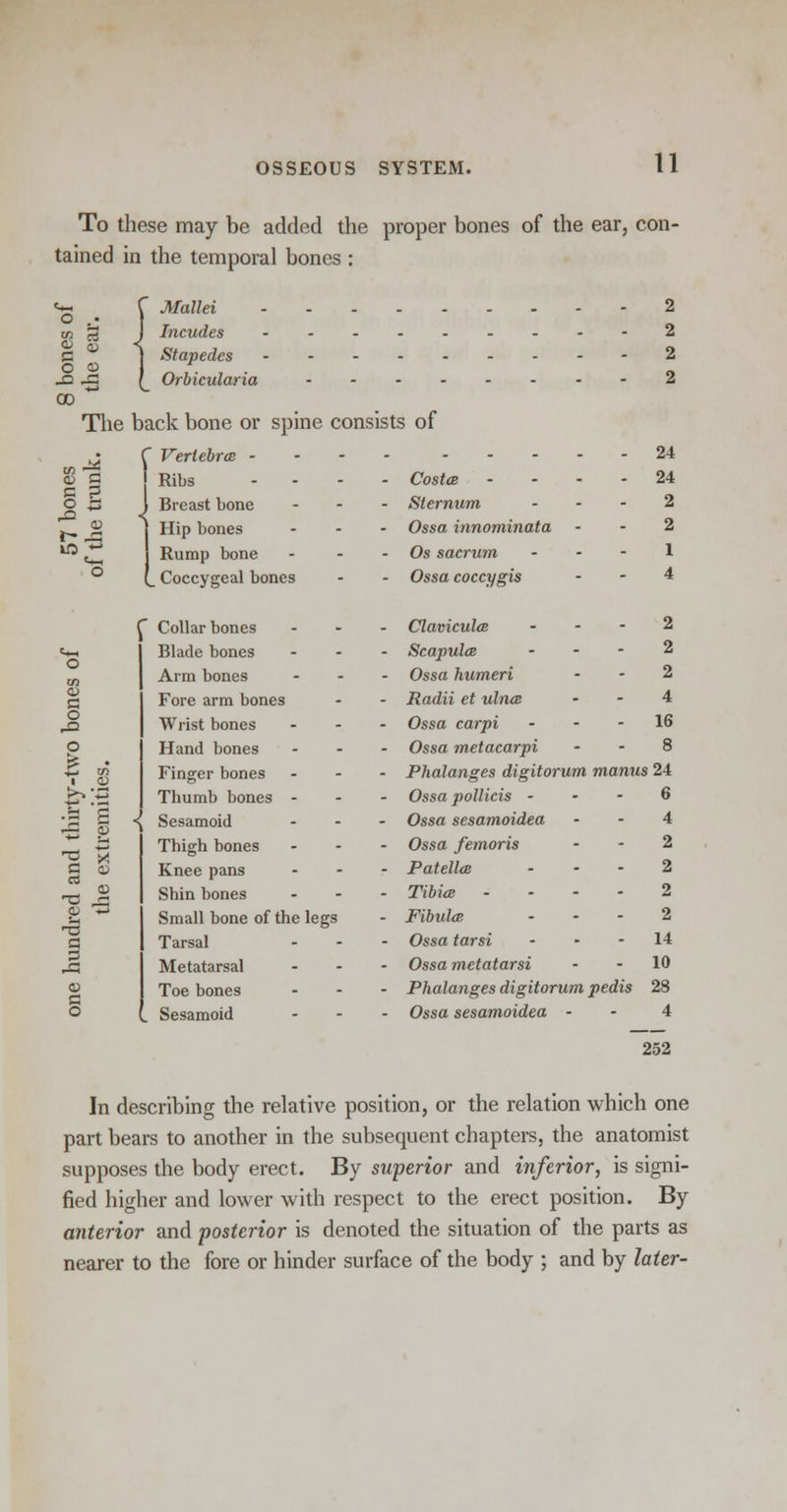 To these may be added the proper bones of the ear, con- tained in the temporal bones : o <o *-> CO Mallei Incudes Stapedes Orbicularia The 10 ~ back bone or spine consists of f Vertebra - ... Ribs .... Costa - j Breast bone ... Sternum I Hip bones ... Ossa innominata ! Rump bone - - - Os sacrum (_ Coccygeal bones - - Ossa coccygis 24 24 2 2 1 4 S o o £ • ■5 g ■n q b a © a o ' Collarbones Blade bones Arm bones Fore arm bones Wrist bones Hand bones Finger bones Thumb bones - ■\ Sesamoid Thigh bones Knee pans Shin bones Small bone of the legs Tarsal Metatarsal Toe bones . Sesamoid Clavicula Scapula Ossa humeri Radii et ulna Ossa carpi Ossa metacarpi 2 2 2 4 16 8 Phalanges digitorum mantis 24 Ossa pollicis - - - 6 Ossa sesamoidea - - 4 Ossa femoris - - 2 Patella ... 2 Tibia - - - - 2 Fibula ... 2 Ossa tarsi - • - 14 Ossa metatarsi - - 10 Phalanges digitorum pedis 28 Ossa sesamoidea - - 4 252 In describing the relative position, or the relation which one part bears to another in the subsequent chapters, the anatomist supposes the body erect. By superior and inferior, is signi- fied higher and lower with respect to the erect position. By anterior and posterior is denoted the situation of the parts as nearer to the fore or hinder surface of the body ; and by later-