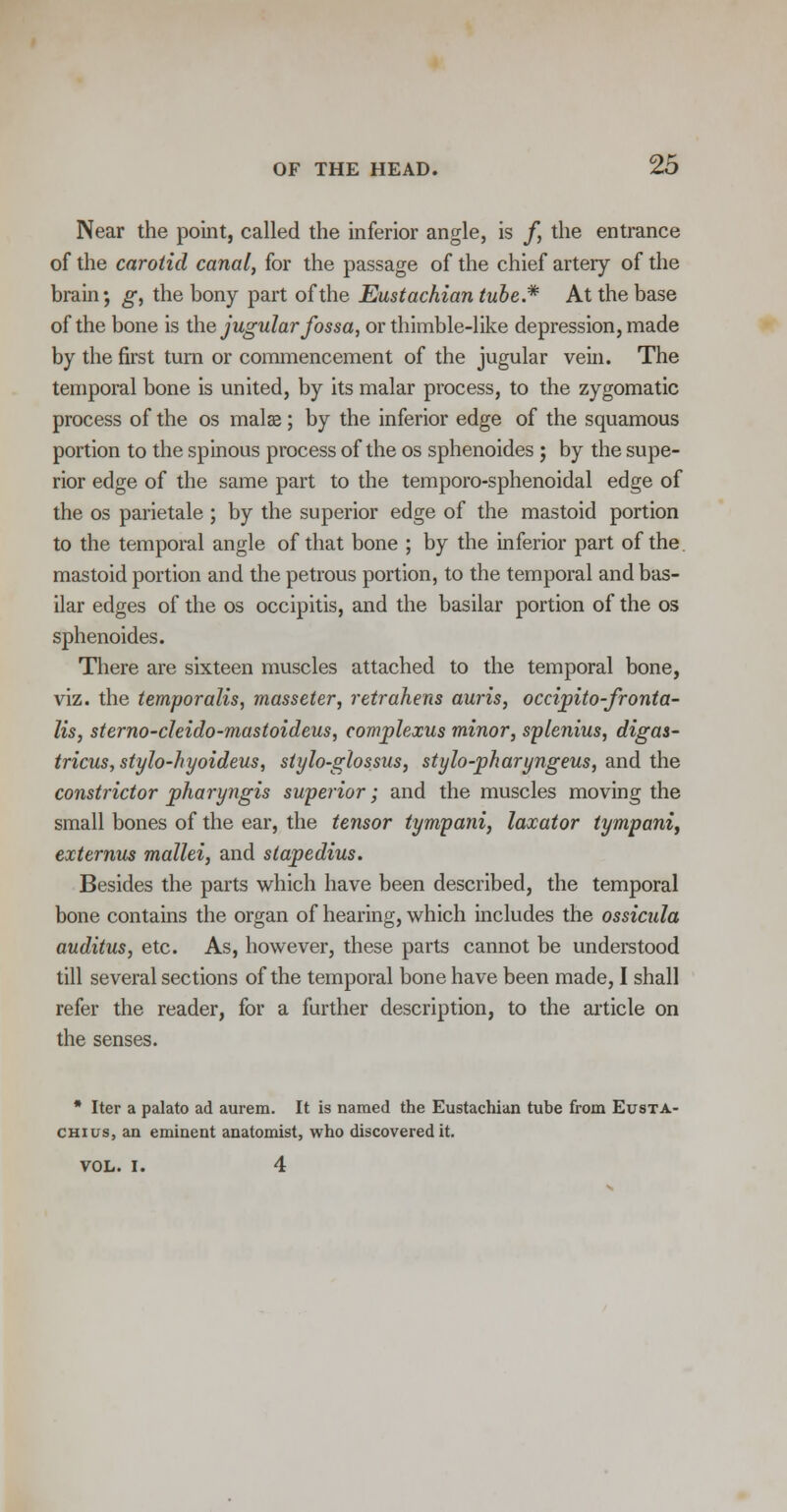 Near the point, called the inferior angle, is /, the entrance of the carotid canal, for the passage of the chief artery of the brain; g, the bony part of the Eustachian tube.* At the base of the bone is the jugular fossa, or thimble-like depression, made by the first turn or commencement of the jugular vein. The temporal bone is united, by its malar process, to the zygomatic process of the os malse; by the inferior edge of the squamous portion to the spinous process of the os sphenoides ; by the supe- rior edge of the same part to the temporo-sphenoidal edge of the os parietale ; by the superior edge of the mastoid portion to the temporal angle of that bone ; by the inferior part of the mastoid portion and the petrous portion, to the temporal and bas- ilar edges of the os occipitis, and the basilar portion of the os sphenoides. There are sixteen muscles attached to the temporal bone, viz. the temporalis, masseter, retrahens auris, occipito-fronta- lis, sterno-cleido-mastoideus, complexus minor, splenius, digas- tricus, stylo-hyoideus, siylo-glossus, stylo-pharyngeus, and the constrictor pharyngis superior; and the muscles moving the small bones of the ear, the tensor tympani, laxator tympani, externus mallei, and stapedius. Besides the parts which have been described, the temporal bone contains the organ of hearing, which includes the ossicula auditus, etc. As, however, these parts cannot be understood till several sections of the temporal bone have been made, I shall refer the reader, for a further description, to the article on the senses. * Iter a palato ad aurem. It is named the Eustachian tube from Eusta- chius, an eminent anatomist, who discovered it. VOL. I. 4