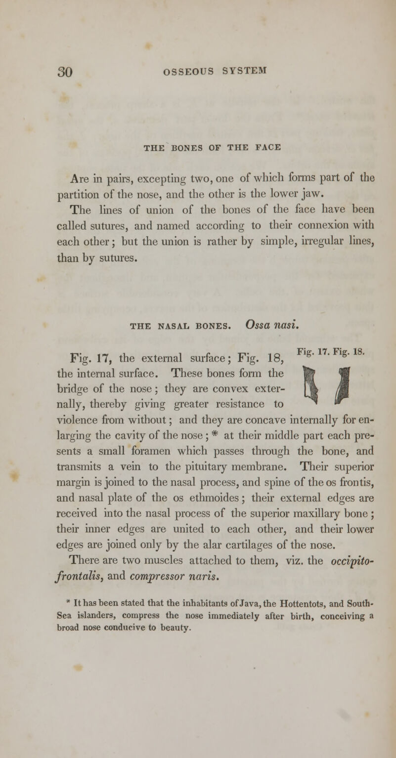 THE BONES OF THE FACE Are in pairs, excepting two, one of which forms part of the partition of the nose, and the other is the lower jaw. The lines of union of the bones of the face have been called sutures, and named according to their connexion with each other; but the union is rather by simple, irregular lines, than by sutures. THE NASAL BONES. OsSd nasi. u Fig. 17, the external surface; Fig. 18, lg the internal surface. These bones form the bridge of the nose; they are convex exter- nally, thereby giving greater resistance to violence from without; and they are concave internally for en- larging the cavity of the nose; * at their middle part each pre- sents a small foramen which passes through the bone, and transmits a vein to the pituitary membrane. Their superior margin is joined to the nasal process, and spine of theos frontis, and nasal plate of the os ethmoides; their external edges are received into the nasal process of the superior maxillary bone ; their inner edges are united to each other, and their lower edges are joined only by the alar cartilages of the nose. There are two muscles attached to them, viz. the occipito- frontalis, and compressor naris. * It has been stated that the inhabitants of Java, the Hottentots, and South- Sea islanders, compress the nose immediately after birth, conceiving a broad nose conducive to beauty.