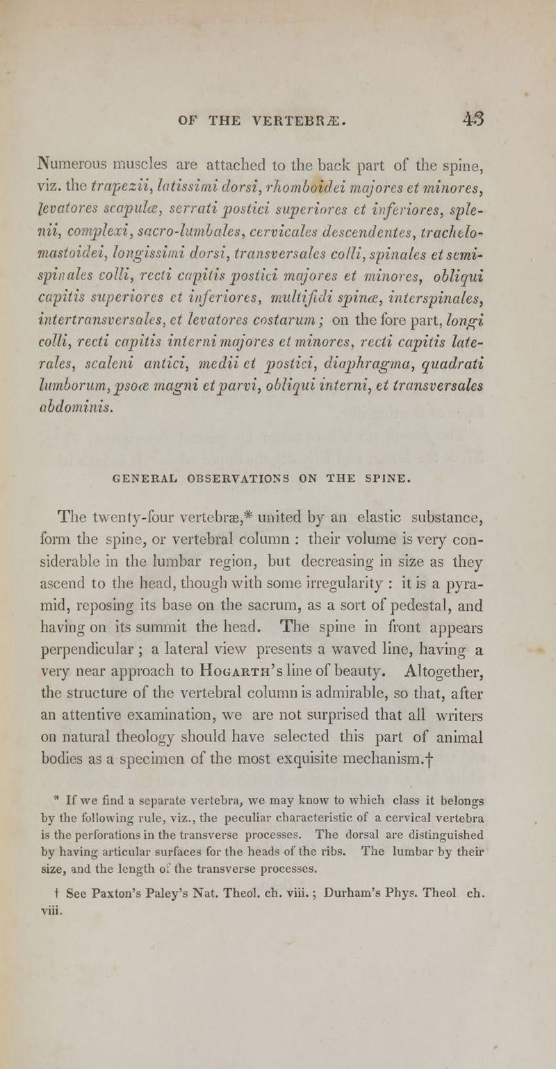 Numerous muscles are attached to the back part of the spine, viz. the trapezii, latissimi dorsi, rJiomboidei majores et minores, levatores scapula, serrati postici superiores ct inferiores, sple- nii, complexi, sacro-lumbahs, cervicalcs descendentes, trachclo- mastoidei, hngissimi dorsi, transversalcs colli, spinales etsemi- spinales colli, recti capitis postici majores et minores, obliqui capitis superiores ct inferiores, multifidi spines, inter spinales, intertransversales, et levatores costarum; on the fore part, longi colli, recti capitis interni majores et minores, recti capitis late- rales, scalcni antici, medii ct postici, diaphragma, quadrati lumborum,psoce magni etparvi, obliqui interni, et transversales abdominis. GENERAL OBSERVATIONS ON THE SPINE. The twenty-four vertebrae,* united by an elastic substance, form the spine, or vertebral column : their volume is very con- siderable in the lumbar region, but decreasing in size as they ascend to the head, though with some irregularity : it is a pyra- mid, reposing its base on the sacrum, as a sort of pedestal, and having on its summit the head. The spine in front appears perpendicular ; a lateral view presents a waved line, having a very near approach to Hogarth's line of beauty. Altogether, the structure of the vertebral column is admirable, so that, after an attentive examination, we are not surprised that all writers on natural theology should have selected this part of animal bodies as a specimen of the most exquisite mechanism.f * If we find a separate vertebra, we may know to which class it belongs by the following rule, viz., the peculiar characteristic of a cervical vertebra is the perforations in the transverse processes. The dorsal are distinguished by having articular surfaces for the heads of the ribs. The lumbar by their size, and the length ol the transverse processes. t See Paxton's Paley's Nat. Theol. ch. viii.; Durham's Phys. Theol ch. viii.