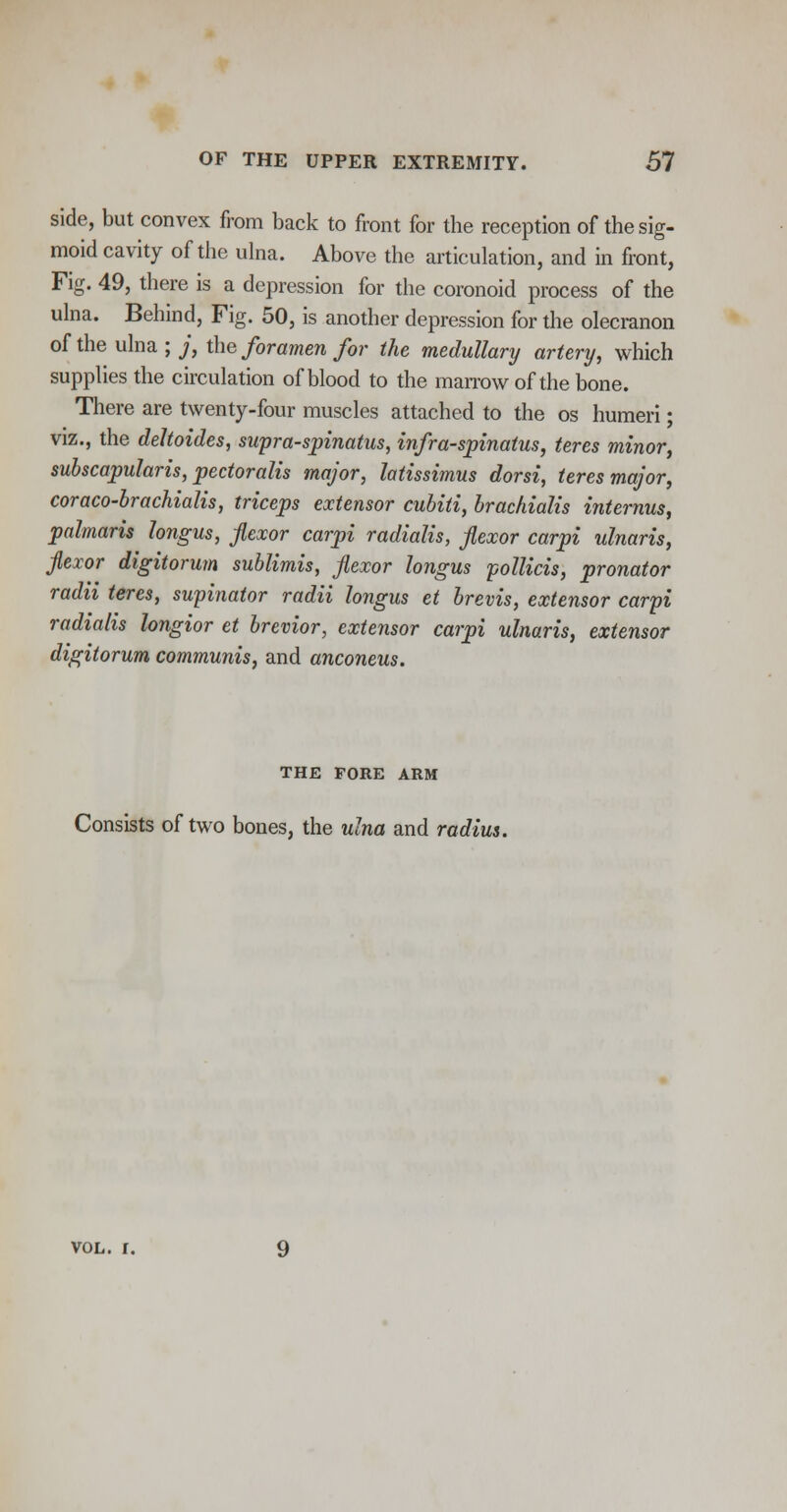 side, but convex from back to front for the reception of the sig- moid cavity of the ulna. Above the articulation, and in front, Fig. 49, there is a depression for the coronoid process of the ulna. Behind, Fig. 50, is another depression for the olecranon of the ulna; j, the foramen for the medullary artery, which supplies the circulation of blood to the marrow of the bone. There are twenty-four muscles attached to the os humeri; viz., the deltoides, supra-spinatus, infraspinatus, teres minor, subscapulars, pectoralis major, latissimus dorsi, teres major, coraco-brachialis, triceps extensor cubiti, brachialis internus, palmaris longus, flexor carpi radialis, flexor carpi ulnaris, flexor digitorum sublimis, flexor longus pollicis, pronator radii teres, supinator radii longus et brevis, extensor carpi radialis longior et brevior, extensor carpi ulnaris, extensor digitorum communis, and anconeus. THE PORE ARM Consists of two bones, the ulna and radius. vol. r.