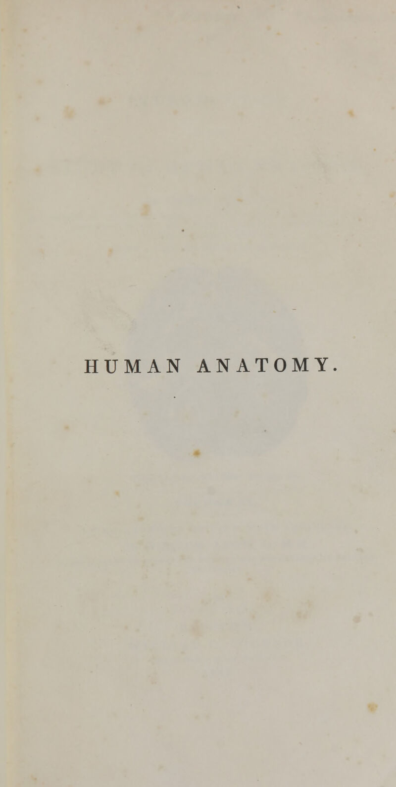 HUMAN ANATOMY.