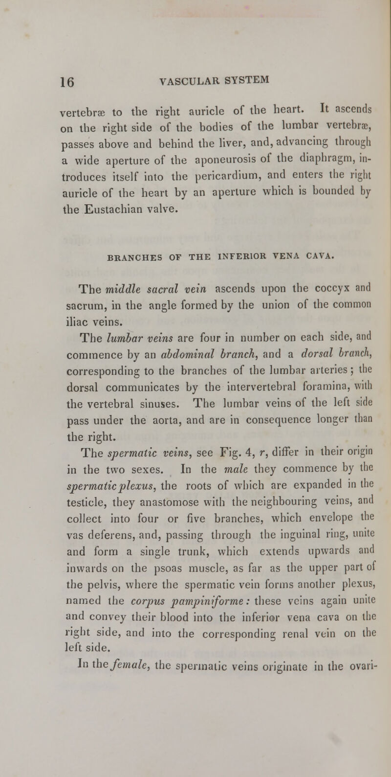 vertebra to the right auricle of the heart. It ascends on the right side of the bodies of the lumbar vertebrae, passes above and behind the liver, and, advancing through a wide aperture of the aponeurosis of the diaphragm, in- troduces itself into the pericardium, and enters the right auricle of the heart by an aperture which is bounded by the Eustachian valve. BRANCHES OF THE INFERIOR VENA CAVA. The middle sacral vein ascends upon the coccyx and sacrum, in the angle formed by the union of the common iliac veins. The lumbar veins are four in number on each side, and commence by an abdominal branch, and a dorsal branch, corresponding to the branches of the lumbar arteries; the dorsal communicates by the intervertebral foramina, with the vertebral sinuses. The lumbar veins of the left side pass under the aorta, and are in consequence longer than the right. The spermatic veins, see Fig. 4, r, differ in their origin in the two sexes. In the male they commence by the spermatic plexus, the roots of which are expanded in the testicle, they anastomose with the neighbouring veins, and collect into four or five branches, which envelope the vas deferens, and, passing through the inguinal ring, unite and form a single trunk, which extends upwards and inwards on the psoas muscle, as far as the upper part of the pelvis, where the spermatic vein forms another plexus, named the corpus pampiniforme: these veins again unite and convey their blood into the inferior vena cava on the right side, and into the corresponding renal vein on the left side. In the female, the spermatic veins originate in the ovari-