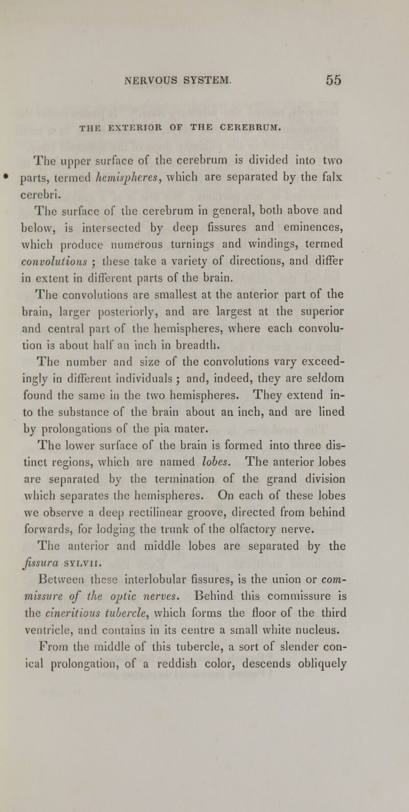 THE EXTERIOR OF THE CEREBRUM. The upper surface of the cerebrum is divided into two parts, termed hemispheres, which are separated by the falx cerebri. The surface of the cerebrum in general, both above and below, is intersected by deep fissures and eminences, which produce numerous turnings and windings, termed convolutions ; these take a variety of directions, and differ in extent in different parts of the brain. The convolutions are smallest at the anterior part of the brain, larger posteriorly, and are largest at the superior and central part of the hemispheres, where each convolu- tion is about half an inch in breadth. The number and size of the convolutions vary exceed- ingly in different individuals ; and, indeed, they are seldom found the same in the two hemispheres. They extend in- to the substance of the brain about an inch, and are lined by prolongations of the pia mater. The lower surface of the brain is formed into three dis- tinct regions, which are named lobes. The anterior lobes are separated by the termination of the grand division which separates the hemispheres. On each of these lobes we observe a deep rectilinear groove, directed from behind forwards, for lodging the trunk of the olfactory nerve. The anterior and middle lobes are separated by the fissura sylvh. Between these interlobular fissures, is the union or com- missure of the optic nerves. Behind this commissure is the cineritious tubercle, which forms the floor of the third ventricle, and contains in its centre a small white nucleus. From the middle of this tubercle, a sort of slender con- ical prolongation, of a reddish color, descends obliquely