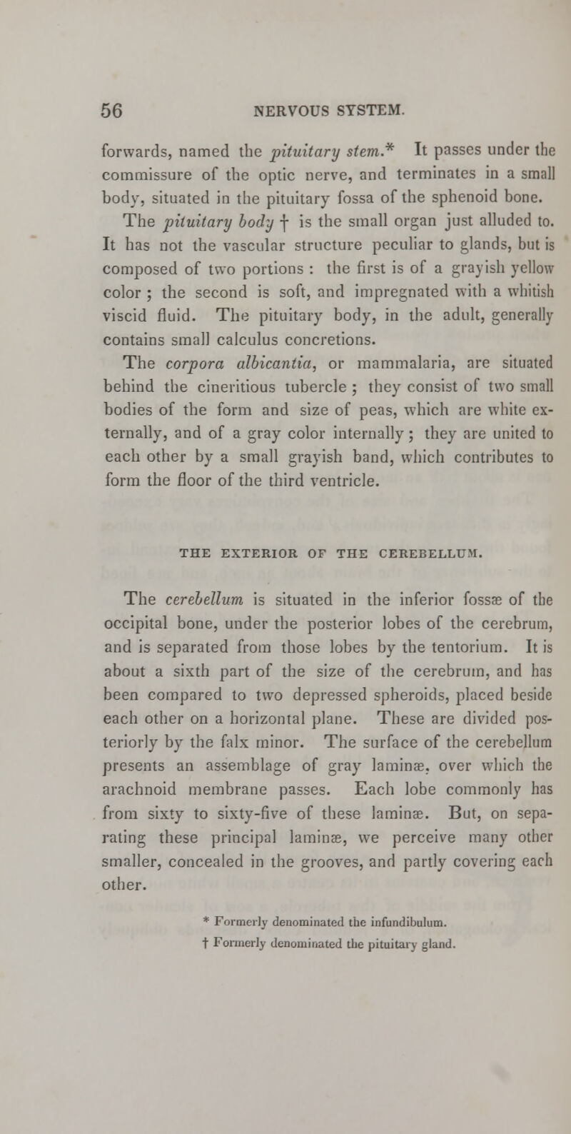 forwards, named the pituitary stem.* It passes under the commissure of the optic nerve, and terminates in a small body, situated in the pituitary fossa of the sphenoid bone. The pituitary body f is the small organ just alluded to. It has not the vascular structure peculiar to glands, but is composed of two portions : the first is of a grayish yellow color ; the second is soft, and impregnated with a whitish viscid fluid. The pituitary body, in the adult, generally contains small calculus concretions. The corpora albicantia, or mammalaria, are situated behind the cineritious tubercle ; they consist of two small bodies of the form and size of peas, which are white ex- ternally, and of a gray color internally; they are united to each other by a small grayish band, which contributes to form the floor of the third ventricle. THE EXTERIOR OF THE CEREBELLUM. The cerebellum is situated in the inferior fossa: of the occipital bone, under the posterior lobes of the cerebrum, and is separated from those lobes by the tentorium. It is about a sixth part of the size of the cerebrum, and has been compared to two depressed spheroids, placed beside each other on a horizontal plane. These are divided pos- teriorly by the falx minor. The surface of the cerebellum presents an assemblage of gray laminae, over which the arachnoid membrane passes. Each lobe commonly has from sixty to sixty-five of these laminae. But, on sepa- rating these principal laminae, we perceive many other smaller, concealed in the grooves, and partly covering each other. * Formerly denominated the infundibulum. t Formerly denominated the pituitary gland.
