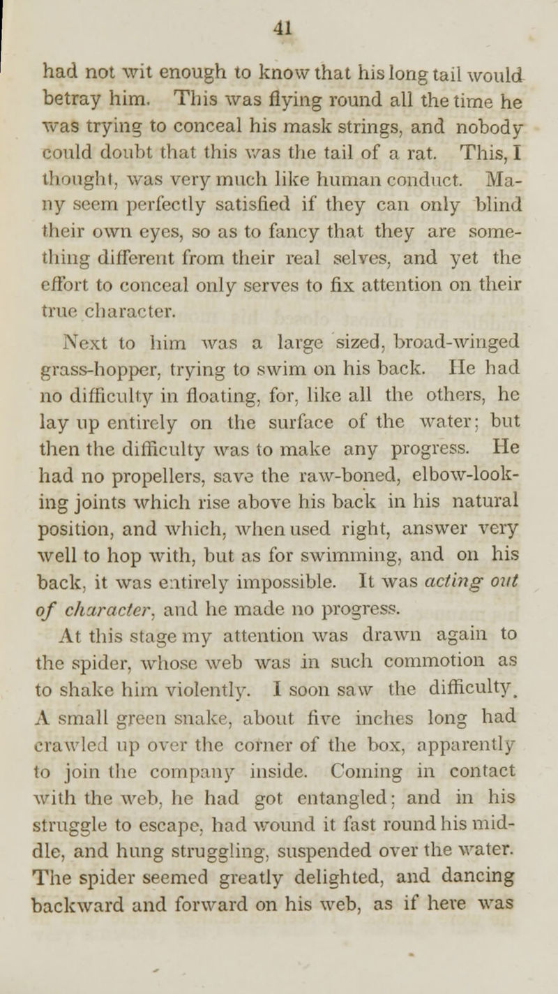 had not wit enough to know that his long tail would betray him. This was flying round all the time he was trying to conceal his mask strings, and nobody- could doubt that this was the tail of a rat. This, I thought, was very much like human conduct. Ma- ny seem perfectly satisfied if they can only blind their own eyes, so as to fancy that they are some- thing different from their real selves, and yet the effort to conceal only serves to fix attention on their true character. Next to him was a large sized, broad-winged grass-hopper, trying to swim on his back. lie had no difficulty in floating, for, like all the others, he lay up entirely on the surface of the water; but then the difficulty was to make any progress. He had no propellers, save the raw-boned, elbow-look- ing joints which rise above his back in his natural position, and which, when used right, answer very well to hop with, but as for swimming, and on his back, it was entirely impossible. It was acting oxtt of character, and he made no progress. At this stage my attention was drawn again to the spider, whose web was in such commotion as to shake him violently. I soon saw the difficulty ^ A small green snake, about five inches long had crawled up over the corner of the box, apparently to join the company inside. Coming in contact with the web, he had got entangled: and in his struggle to escape, had Wound it fast round his mid- dle, and hung struggling, suspended over the water. The spider seemed greatly delighted, and dancing backward and forward on his web, as if here was