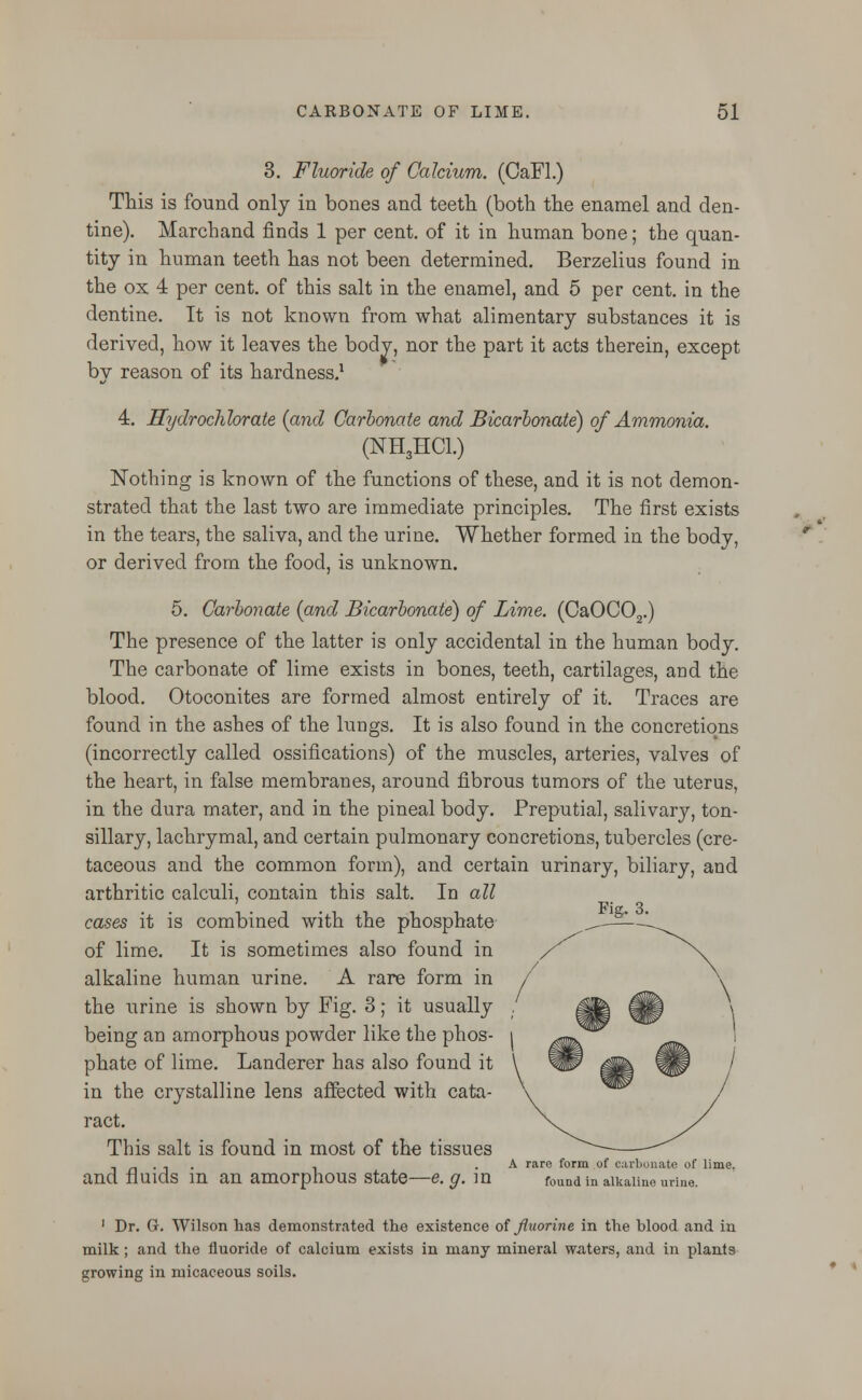 3. Fluoride of Calcium. (CaFl.) This is found only in bones and teeth (both the enamel and den- tine). Marchand finds 1 per cent, of it in human bone; the quan- tity in human teeth has not been determined. Berzelius found in the ox 4 per cent, of this salt in the enamel, and 5 per cent, in the dentine. It is not known from what alimentary substances it is derived, how it leaves the body, nor the part it acts therein, except by reason of its hardness.1 4. Hydrochlorate {and Carbonate and Bicarbonate) of Ammonia. (NH3HC1.) Nothing is known of the functions of these, and it is not demon- strated that the last two are immediate principles. The first exists in the tears, the saliva, and the urine. Whether formed in the body, or derived from the food, is unknown. 5. Carbonate (and Bicarbonate) of Lime. (CaOC02.) The presence of the latter is only accidental in the human body. The carbonate of lime exists in bones, teeth, cartilages, and the blood. Otoconites are formed almost entirely of it. Traces are found in the ashes of the lungs. It is also found in the concretions (incorrectly called ossifications) of the muscles, arteries, valves of the heart, in false membranes, around fibrous tumors of the uterus, in the dura mater, and in the pineal body. Preputial, salivary, ton- sillary, lachrymal, and certain pulmonary concretions, tubercles (cre- taceous and the common form), and certain urinary, biliary, and arthritic calculi, contain this salt. In all cases it is combined with the phosphate of lime. It is sometimes also found in alkaline human urine. A rare form in the urine is shown by Fig. 3; it usually being an amorphous powder like the phos- phate of lime. Landerer has also found it in the crystalline lens affected with cata- ract. This salt is found in most of the tissues . _ . . . .A rare form of carbonate of lime, and fluids m an amorphous state—e.g. in found in alkaline urine. Fig. 3. 1 Dr. G. Wilson has demonstrated the existence of fluorine in the blood and in milk ; and the fluoride of calcium exists in many mineral waters, and in plants growing in micaceous soils.