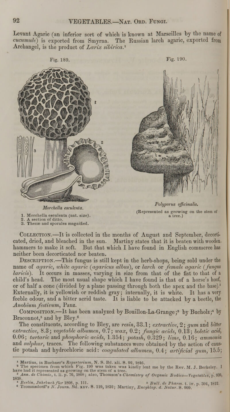 Levant Agaric (an inferior sort of which is known at Marseilles by the name of cucumuh) is exported from Smyrna. The Russian larch agaric, exported from Archangel, is the product of Larix silirica.1 Fisr. 189. Fig. 190. Morchella escuknta. 1. Morchella esculenta (nat. size). 2. A section of ditto. 3. Thecae and sporules magnified. Polyporus officinalis. (Represented as growing on the stem of a tree.) Collection.—It is collected in the months of August and September, decorti- cated, dried, and bleached in the sun. Martiny states that it is beaten with wooden, hammers to make it soft. But that which I have found in English commerce has neither been decorticated nor beaten. Description.—This fungus is still kept in the herb-shops, being sold under the name of agaric, white agaric (agaricus alius), or larch or female agaric (fungus laricis). It occurs in masses, varying in size from that of the fist to that of a child's head. The most usual shape which I have found is that of a horse's hoof, or of half a cone (divided by a plane passing through both the apex and the base).3 Externally, it is yellowish or reddish gray; internally, it is white. It has a very feeble odour, and a bitter acrid taste. It is liable to be attacked by a beetle, the Anobium festivum, Panz. Composition.—It has been analyzed by Bouillon-La-Grange;3 by Bucholz;4 by Braconnot,5 and by Bley.6 The constituents, according to Bley, are resin, 33.1; extractive, 2; gum and litter extractive, 8.3; vegetalle allumen, 0.7; wax, 0.2; fungic acids, 0.13; loletic acid, 0.06; tartaric and phosphoric acids, 1.354; potash, 0.329; lime, 0.16; ammonia and stdphur, traces. The following substances were obtained by the action of caus- tic potash and hydrochloric acid: coagidated allumen, 0.4; artificial gum, 15.5; 1 Martius, in Buchner's Repertorium, N. S. Bd. xli. S. 92, 1846. 5 The specimen from which Fig. 190 was taken was kindly lent me by the Rev. M. J. Berkeley. I have had it represented as growing on the stem of a tree. 3 Ann. de Chimie, t. li. p. 76, 1808; also, Thomson's Chemistry of Organic Bodies—Vegetables, p. 939, 1838. * Berlin, Jahrbuchfur 1808, p. 111. * Bull, de Pharm. t. iv. p. 304, 1812. * Trommsdorff's N. Journ. Bd. xxv. S. 119, 1832; Martiny, Encylclop. d. Xatur. S. 909.