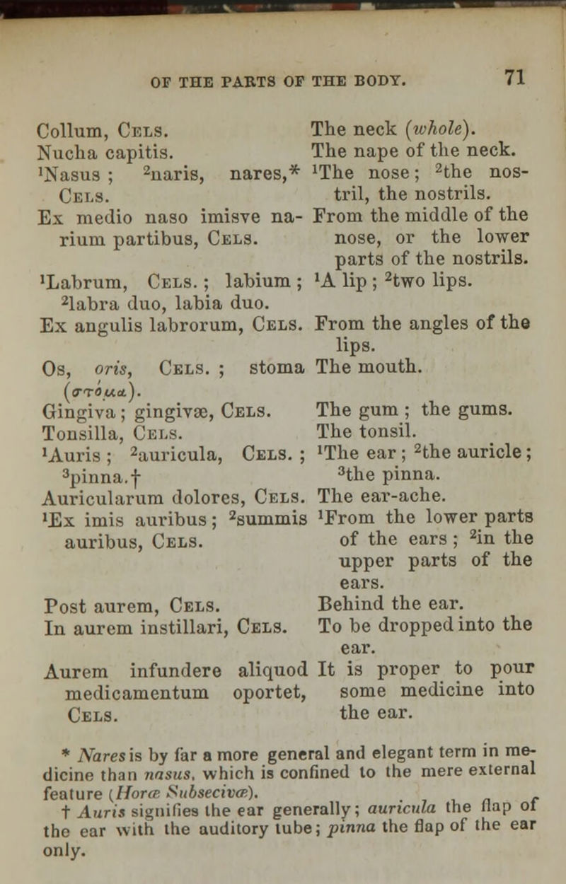 The neck (ivhole). The nape of the neck. 'The nose; 2the nos- tril, the nostrils. From the middle of the nose, or the lower parts of the nostrils. •A lip ; 2two lips. From the angles of the lips. The mouth. The gum ; the gums. The tonsil. •The ear; 2the auricle; 3the pinna. The ear-ache. •From the lower parts of the ears ; 2in the upper parts of the ears. Behind the ear. To be dropped into the ear. It is proper to pour some medicine into the ear. * Nares is by far a more general and elegant term in me- dicine than 7insus. which is confined to the mere external feature {Iforce Subseciva). t Auris signifies the ear generally; auricula the Hap ol the ear with the auditory lube; pinna the flap of the ear only. Collum, Cels. Nucha capitis. 'Nasus ; 2naris, nares,* Cels. Ex medio naso imisve na- rium partibus, Cels. 'Labrum, Cels. ; labium ; 2kibra duo, labia duo. Ex angulis labrorum, Cels. Os, oris, Cels. ; stoma Gingiva; gingivae, Cels. Tonsilla, Cels. 'Auris ; 2auricula, Cels. ; 3pinna.f Auricularum dolorcs, Cels. 'Ex imis auribus; 2summis auribus, Cels. Post aurem, Cels. In aurem instillari, Cels. Aurem infundere aliquod medicamentum oportet, Cels.