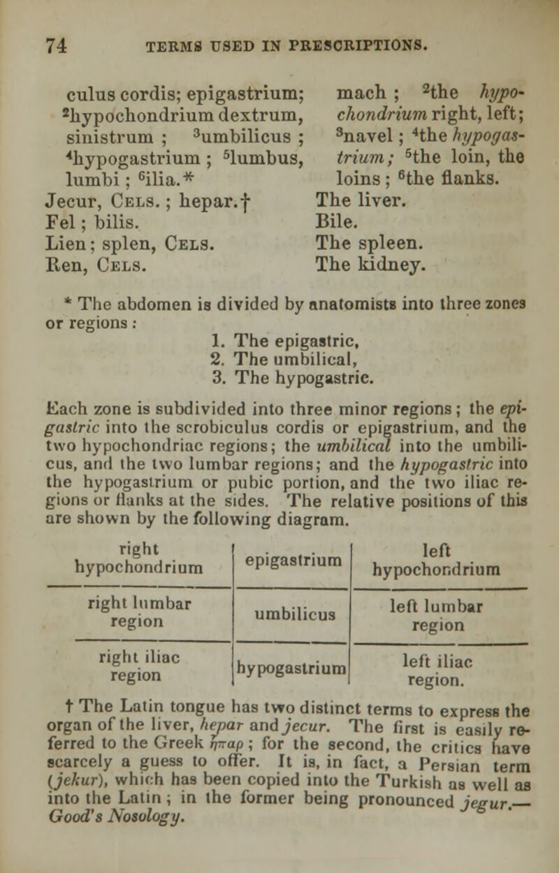 cuius cordis; epigastrium; 2hypochondrium dextrum, sinistrum ; 3umbilicus ; 4hypogastrium ; 5lumbus, lumbi; 6ilia.* Jecur, Cels. ; hepar.f Fel; bilis. Lien; splen, Cels. Ren, Cels. mach ; 2the hypo- chondrium right, left; 3navel; 4the hypogas- trium; 5the loin, the loins; 6the flanks. The liver. Bile. The spleen. The kidney. * The abdomen is divided by anatomists into three zones or regions : 1. The epigastric, 2. The umbilical, 3. The hypogastric. Each zone is subdivided into three minor regions ; the epi- gastric into the scrobiculus cordis or epigastrium, and the two hypochondriac regions; the umbilical into the umbili- cus, and the two lumbar regions; and the hypogastric into the hypogastxium or pubic portion, and the two iliac re- gions or flanks at the sides. The relative positions of this are shown by the following diagram. right hypochondrium epigastrium left hypochondrium right lumbar region umbilicus left lumbar region right iliac region hypogastrium left iliac region. t The Latin tongue has two distinct terms to express the organ of the liver, hepar and jecur. The first is easily re- ferred to the Greek h~ap', for the second, the critics have scarcely a guess to offer. It is, in fact, a Persian term (jekur), which has been copied into the Turkish as well as into the Latin; in the former being pronounced jegur. Good's Nosology.