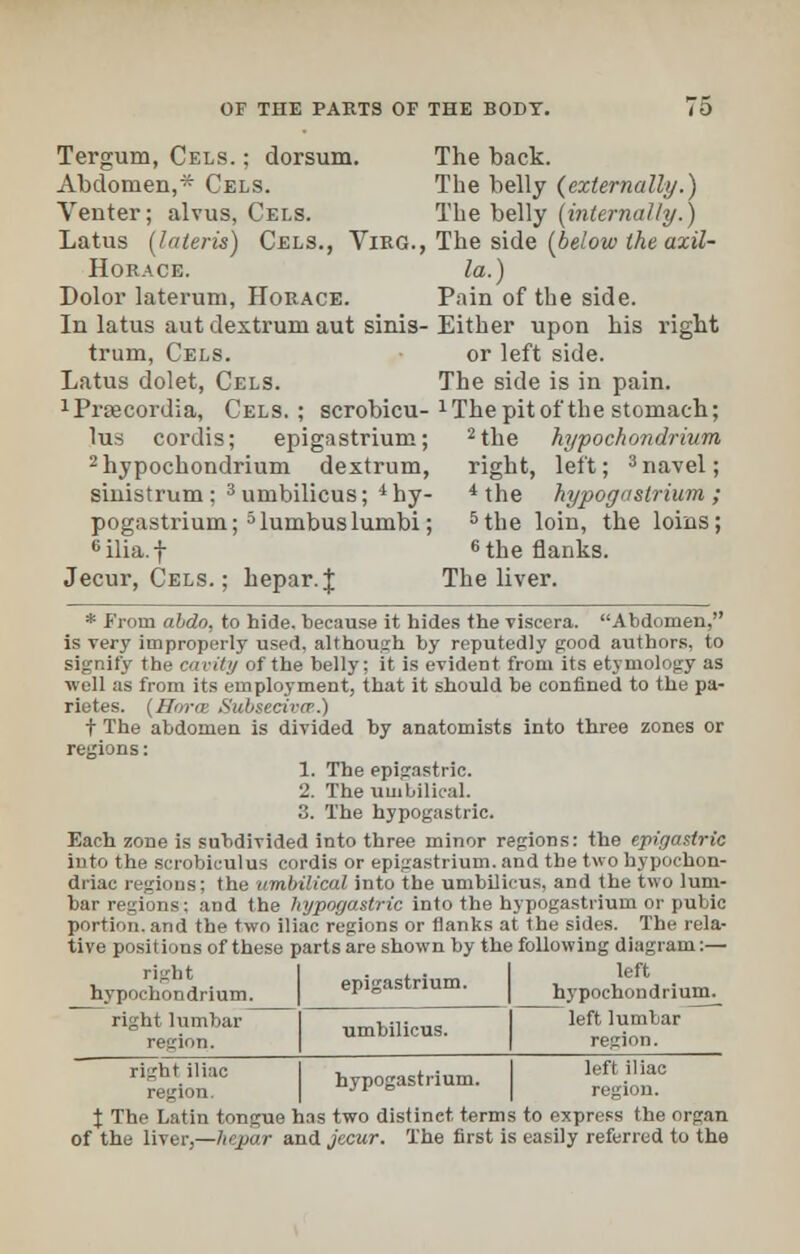 Tergum, Cels. ; dorsum. The back. Abdomen,* Cels. The belly (externally.) Venter; alvus, Cels. The belly (internally.) Latus (lateris) Cels., Vikg., The side (below the azil- Horace. la.) Dolor laterum, Horace. Pain of the side. In latus autdextrumaut sinis-Either upon his right trum, Cels. or left side. Latus dolet, Cels. The side is in pain. 1Praecordia, Cels.; scrobicu- 1 The pit of the stomach; lus cordis; epigastrium; 2the hypochondrium 2hypochondrium dextrum, right, left; 3 navel; sinistrum ; 3 umbilicus; i hy- i the hypogastrium ; pogastrium;5luinbuslunibi; 5the loin, the loins; 6 ilia, f 6the flanks. Jecur, Cels. ; hepar.J The liver. * From abdo, to hide, because it hides the viscera. Abdomen, is very improperly used, although by reputedly good authors, to signify the cavity of the belly; it is evident from its etymology as well as from its employment, that it should be confined to the pa- rietes. (Horae Subsecivce.) t The abdomen is divided by anatomists into three zones or regions: 1. The epigastric. 2. The umbilical. 3. The hypogastric. Each zone is subdivided into three minor regions: the epigastric into the scrobiculus cordis or epigastrium, and the two hypochon- driac regions: the umbilical into the umbilicus, and the two lum- bar regions; and the hypogastric into the hypogastrium or pubic portion, and the two iliac regions or flanks at the sides. The rela- tive positions of these parts are shown by the following diagram:— right • t • left hypochondrium. epigastrium. hypochondrium^ right lumbar I BmWlicus. I left lumbar region. I region. ^Hli^ hypogastrium. I 1£t'»aB region.  ° region. \ The Latin tongue has two distinct, terms to express the organ of the liver,—In par and jecur. The first is easily referred to the