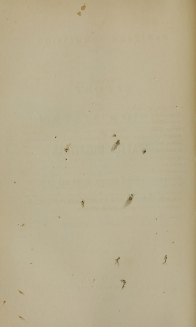 digitised image 2
