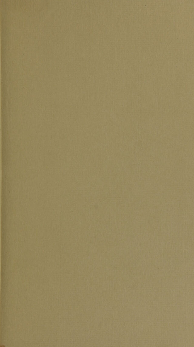 digitised image 3