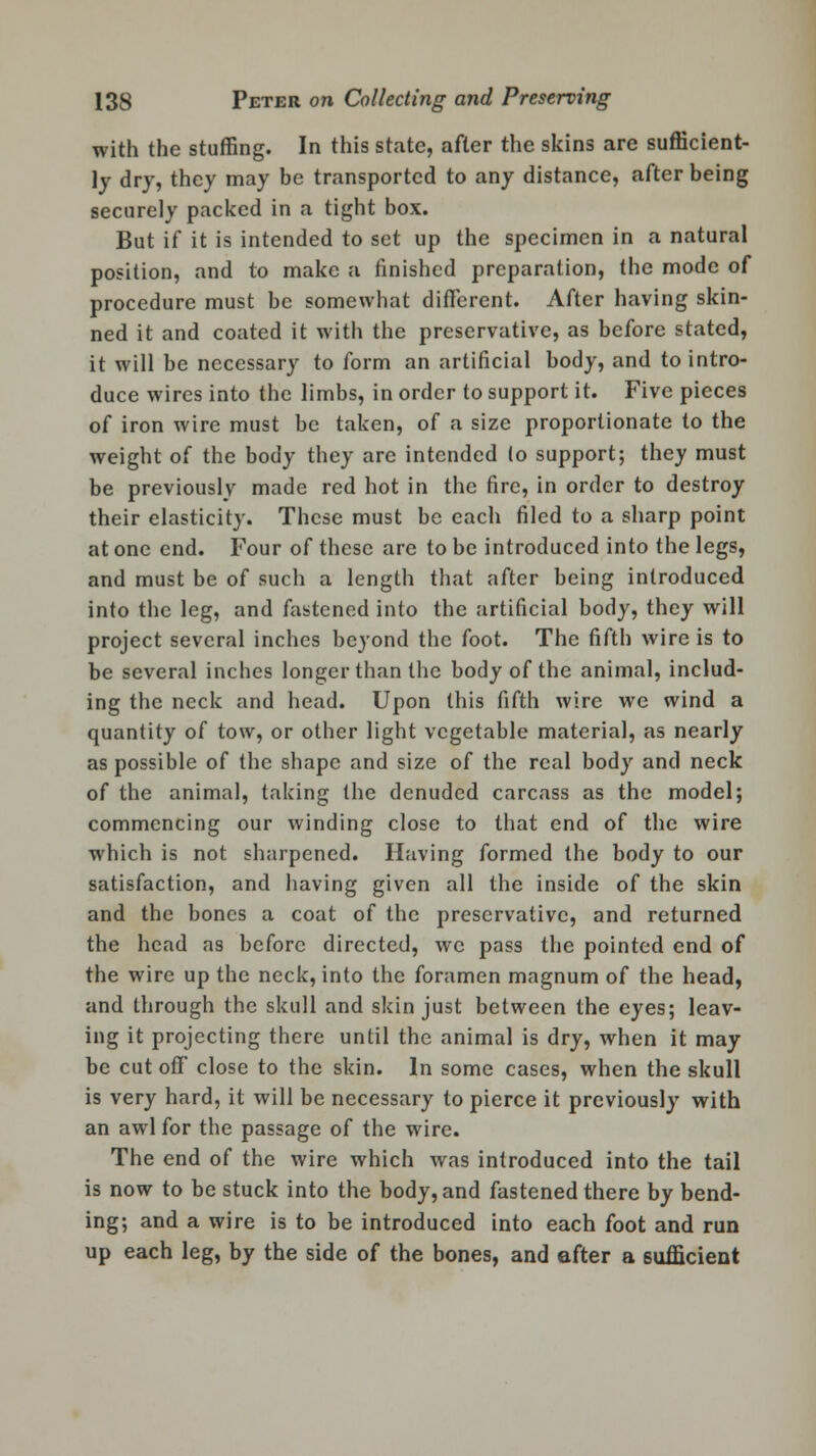 with the stuffing. In this state, after the skins are sufficient- ly dry, they may be transported to any distance, after being securely packed in a tight box. But if it is intended to set up the specimen in a natural position, and to make a finished preparation, the mode of procedure must be somewhat different. After having skin- ned it and coated it with the preservative, as before stated, it will be necessary to form an artificial body, and to intro- duce wires into the limbs, in order to support it. Five pieces of iron wire must be taken, of a size proportionate to the weight of the body they are intended (o support; they must be previously made red hot in the fire, in order to destroy their elasticity. These must be each filed to a sharp point at one end. Four of these are to be introduced into the legs, and must be of such a length that after being introduced into the leg, and fastened into the artificial body, they will project several inches beyond the foot. The fifth wire is to be several inches longer than the body of the animal, includ- ing the neck and head. Upon this fifth wire we wind a quantity of tow, or other light vegetable material, as nearly as possible of the shape and size of the real body and neck of the animal, taking the denuded carcass as the model; commencing our winding close to that end of the wire which is not sharpened. Having formed the body to our satisfaction, and having given all the inside of the skin and the bones a coat of the preservative, and returned the head as before directed, we pass the pointed end of the wire up the neck, into the foramen magnum of the head, and through the skull and skin just between the eyes; leav- ing it projecting there until the animal is dry, when it may be cut off close to the skin. In some cases, when the skull is very hard, it will be necessary to pierce it previously with an awl for the passage of the wire. The end of the wire which was introduced into the tail is now to be stuck into the body, and fastened there by bend- ing; and a wire is to be introduced into each foot and run up each leg, by the side of the bones, and after a sufficient