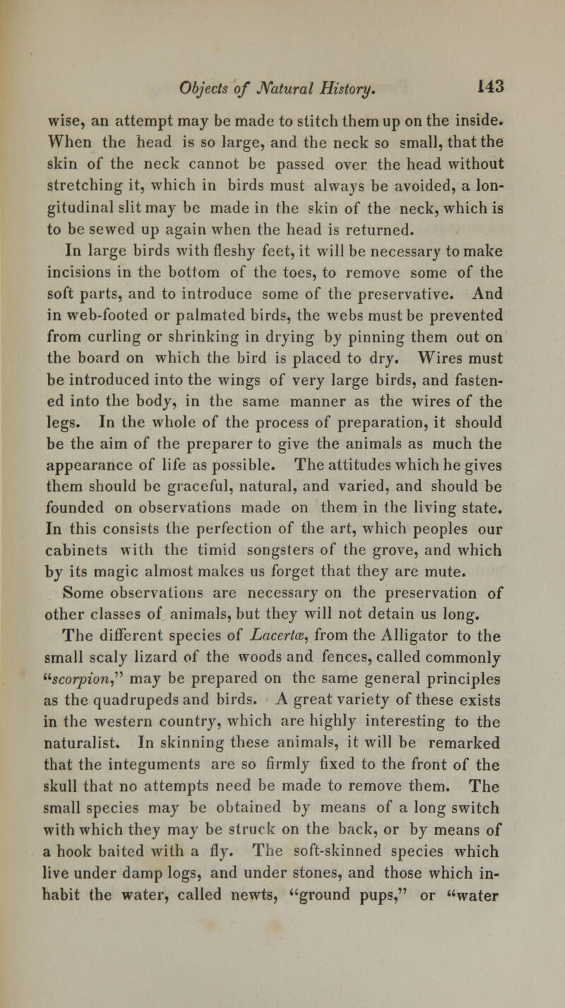 wise, an attempt may be made to stitch them up on the inside. When the head is so large, and the neck so small, that the skin of the neck cannot be passed over the head without stretching it, which in birds must always be avoided, a lon- gitudinal slit may be made in the skin of the neck, which is to be sewed up again when the head is returned. In large birds with fleshy feet, it will be necessary to make incisions in the bottom of the toes, to remove some of the soft parts, and to introduce some of the preservative. And in web-footed or palmated birds, the webs must be prevented from curling or shrinking in drying by pinning them out on the board on which the bird is placed to dry. Wires must be introduced into the wings of very large birds, and fasten- ed into the body, in the same manner as the wires of the legs. In the whole of the process of preparation, it should be the aim of the preparer to give the animals as much the appearance of life as possible. The attitudes which he gives them should be graceful, natural, and varied, and should be founded on observations made on them in the living state. In this consists the perfection of the art, which peoples our cabinets with the timid songsters of the grove, and which by its magic almost makes us forget that they are mute. Some observations are necessary on the preservation of other classes of animals, but they will not detain us long. The different species of Lacertce, from the Alligator to the small scaly lizard of the woods and fences, called commonly scorpion may be prepared on the same general principles as the quadrupeds and birds. A great variety of these exists in the western country, which are highly interesting to the naturalist. In skinning these animals, it will be remarked that the integuments are so firmly fixed to the front of the skull that no attempts need be made to remove them. The small species may be obtained by means of a long switch with which they may be struck on the back, or by means of a hook baited with a fly. The soft-skinned species which live under damp logs, and under stones, and those which in- habit the water, called newts, ground pups, or water